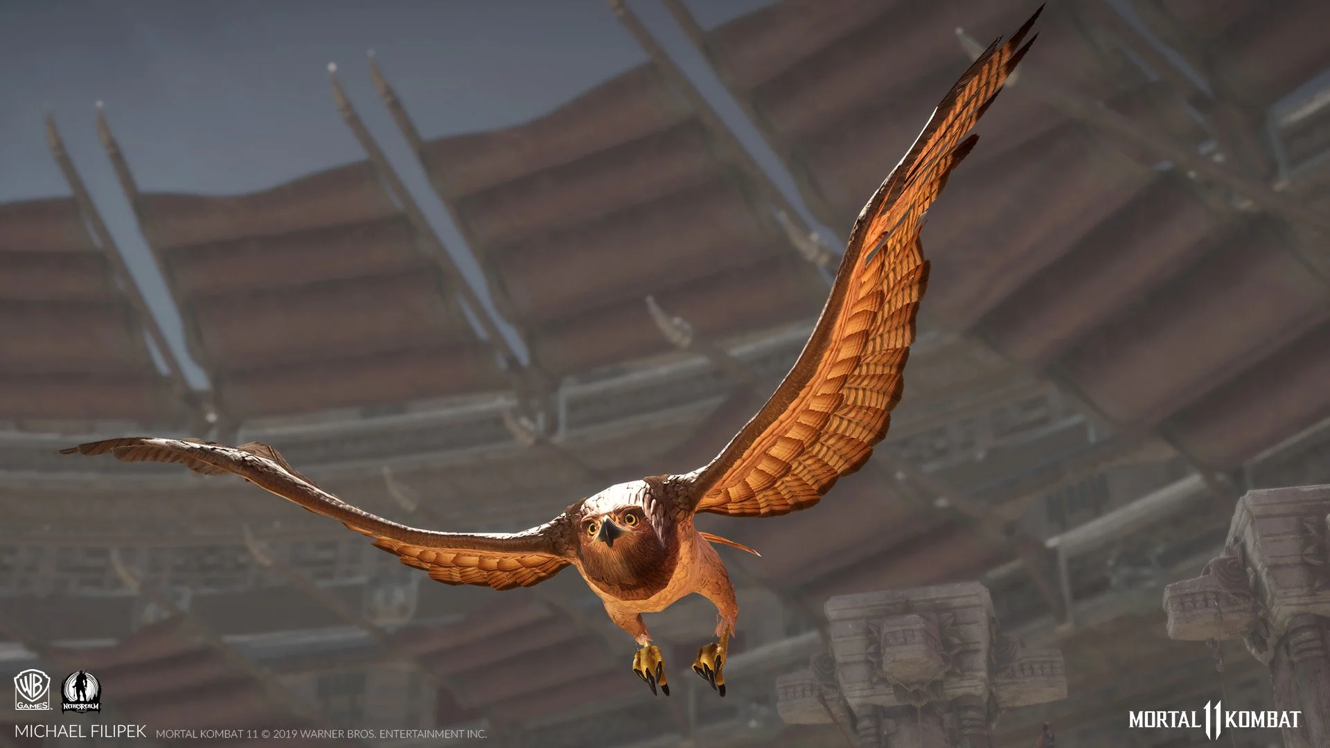 Hawk_01.jpg
