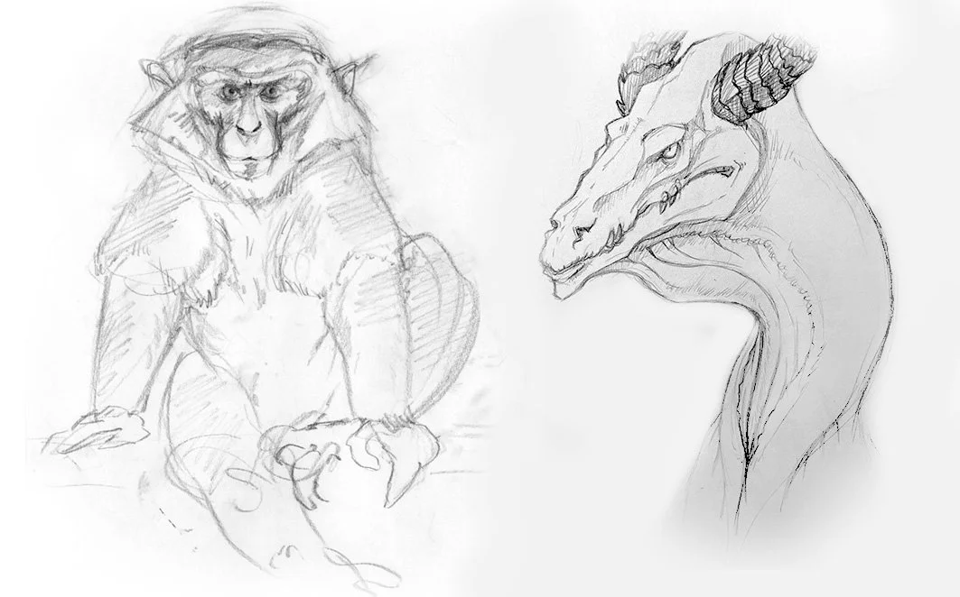 Two pencil sketches of fantasy creatures: one of a humanoid lion with a muscular body, and another of a dragon with horns and detailed scales.