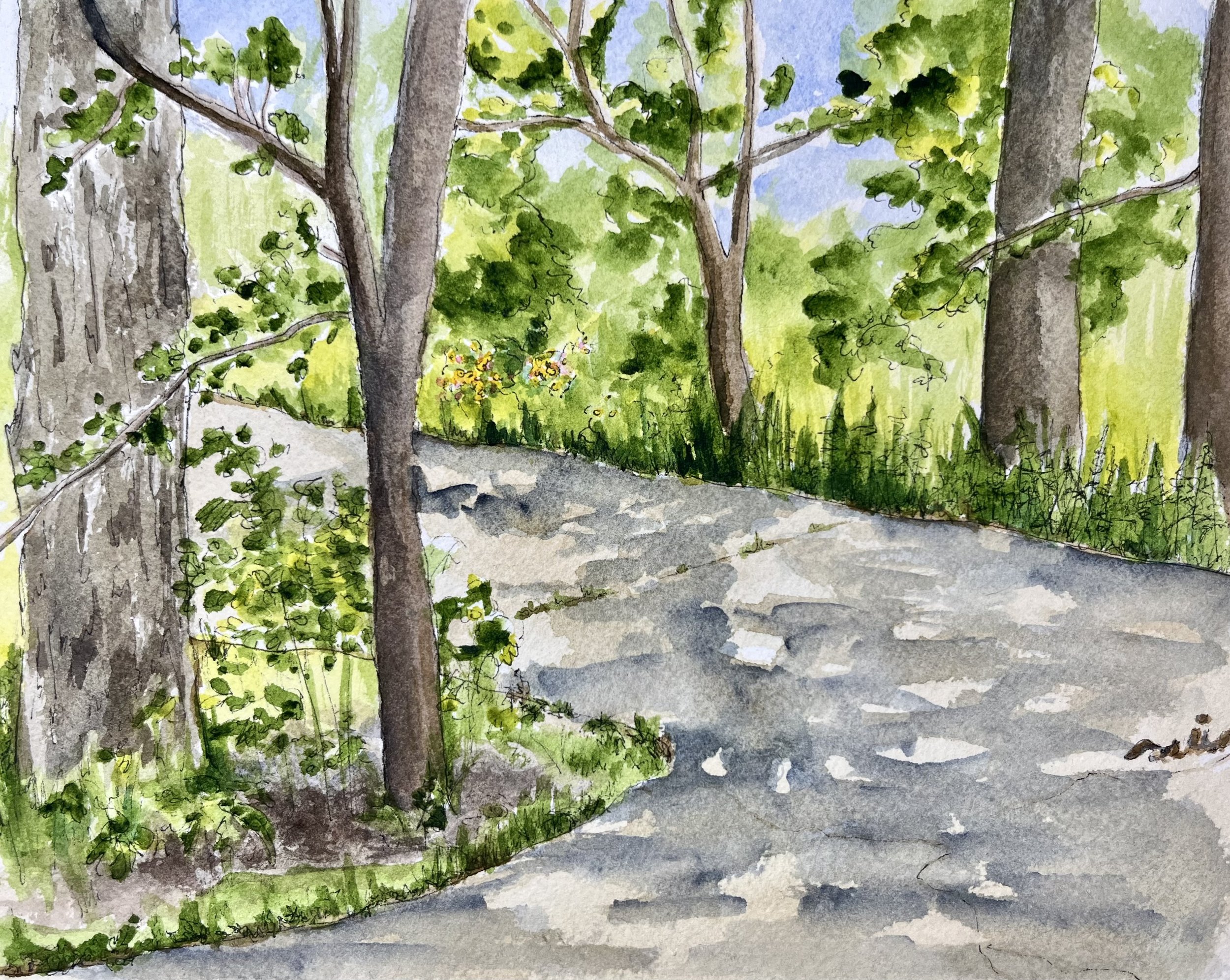 Crabtree Nature Center - Barrington, IL  • 8"x10" • 2026