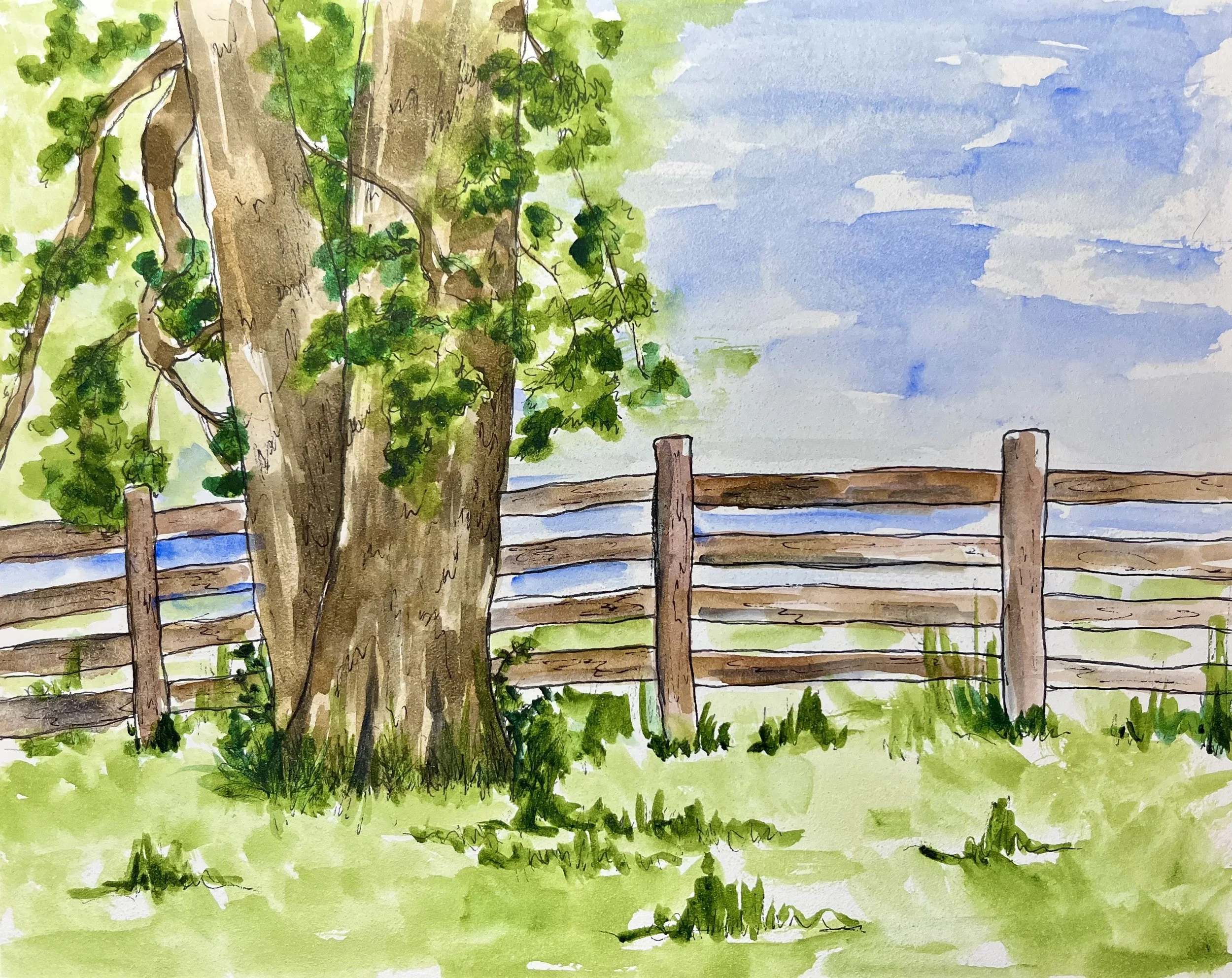 Spring Valley - Schaumburg, IL • 8"x10" • 2026