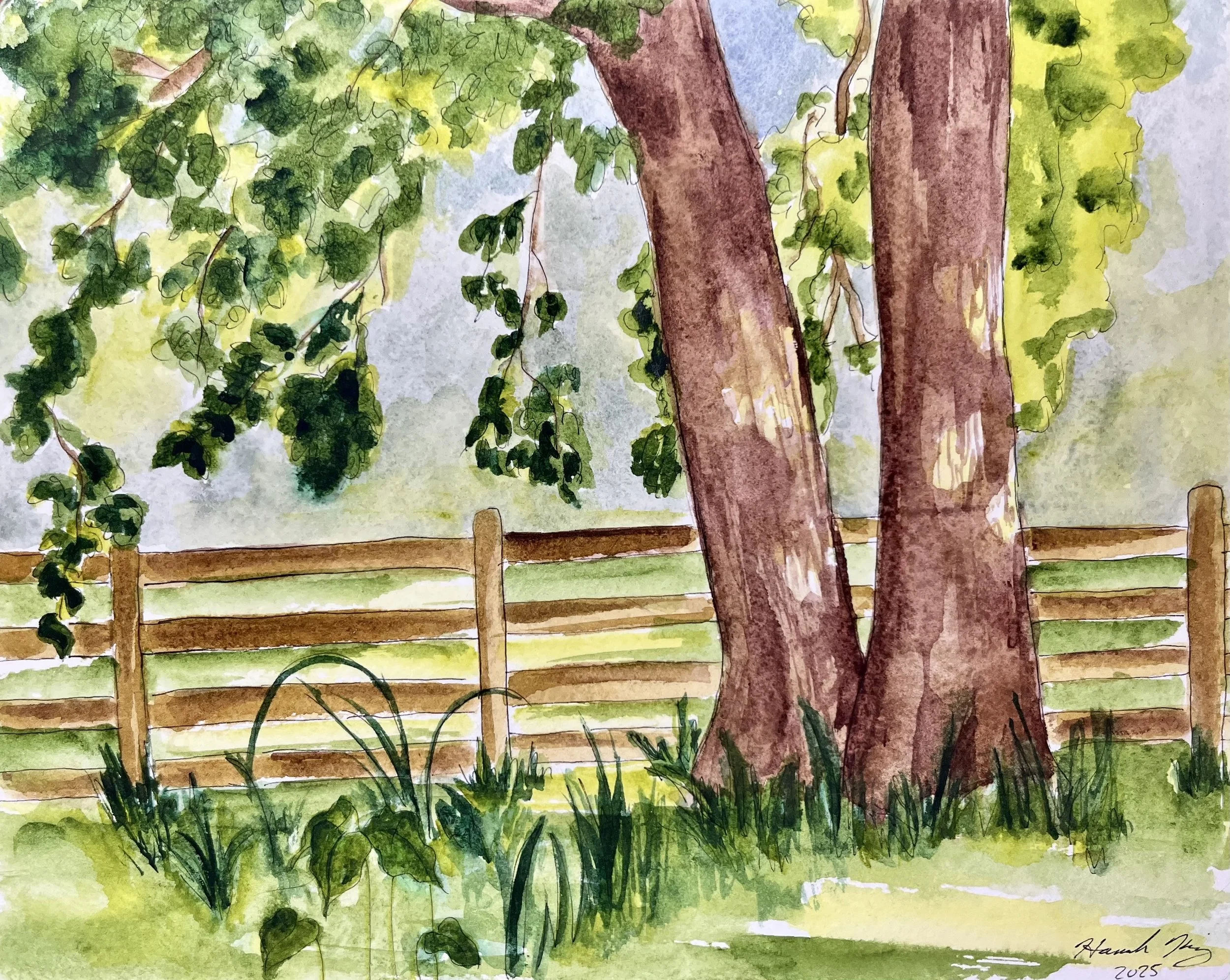 Spring Valley - Schaumburg, IL • 8"x10" • 2025