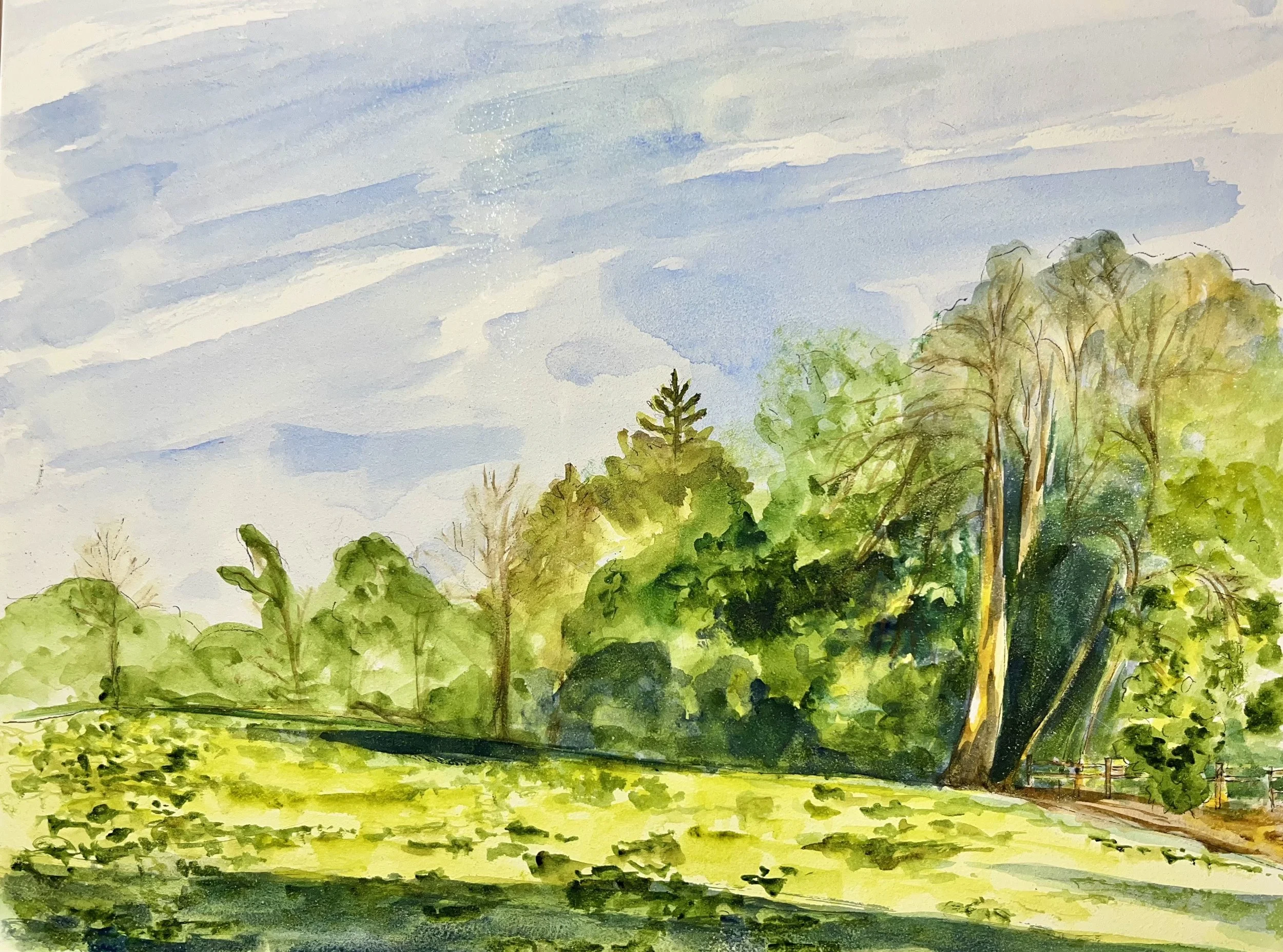 Spring Valley - Schaumburg, IL • 9"x12
 • 2026