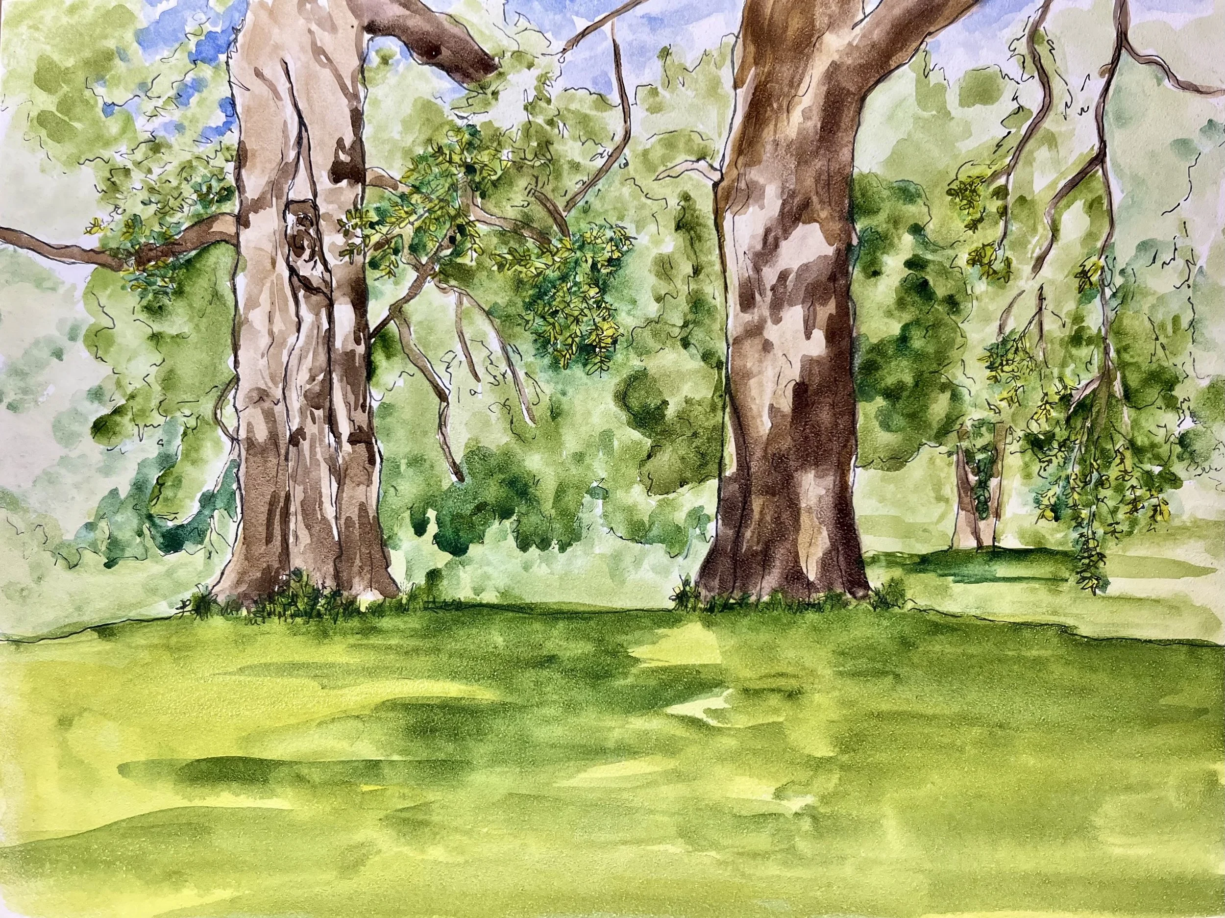 LeRoy Oakes Forest Preserve - St. Charles, IL • 9"x12" • 2026