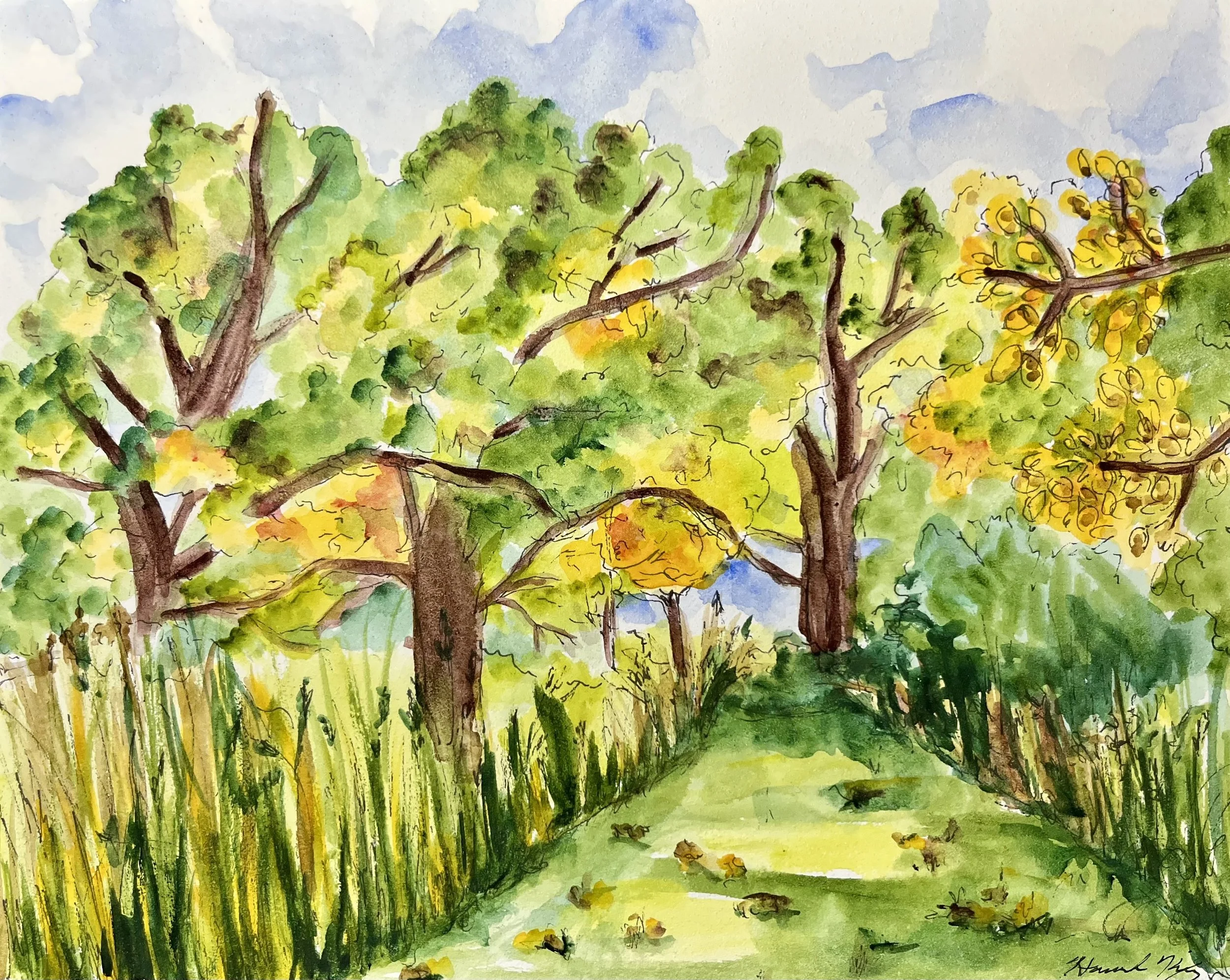 Beverly Lake - Hoffman Estates, IL • 8"x10" • 2025