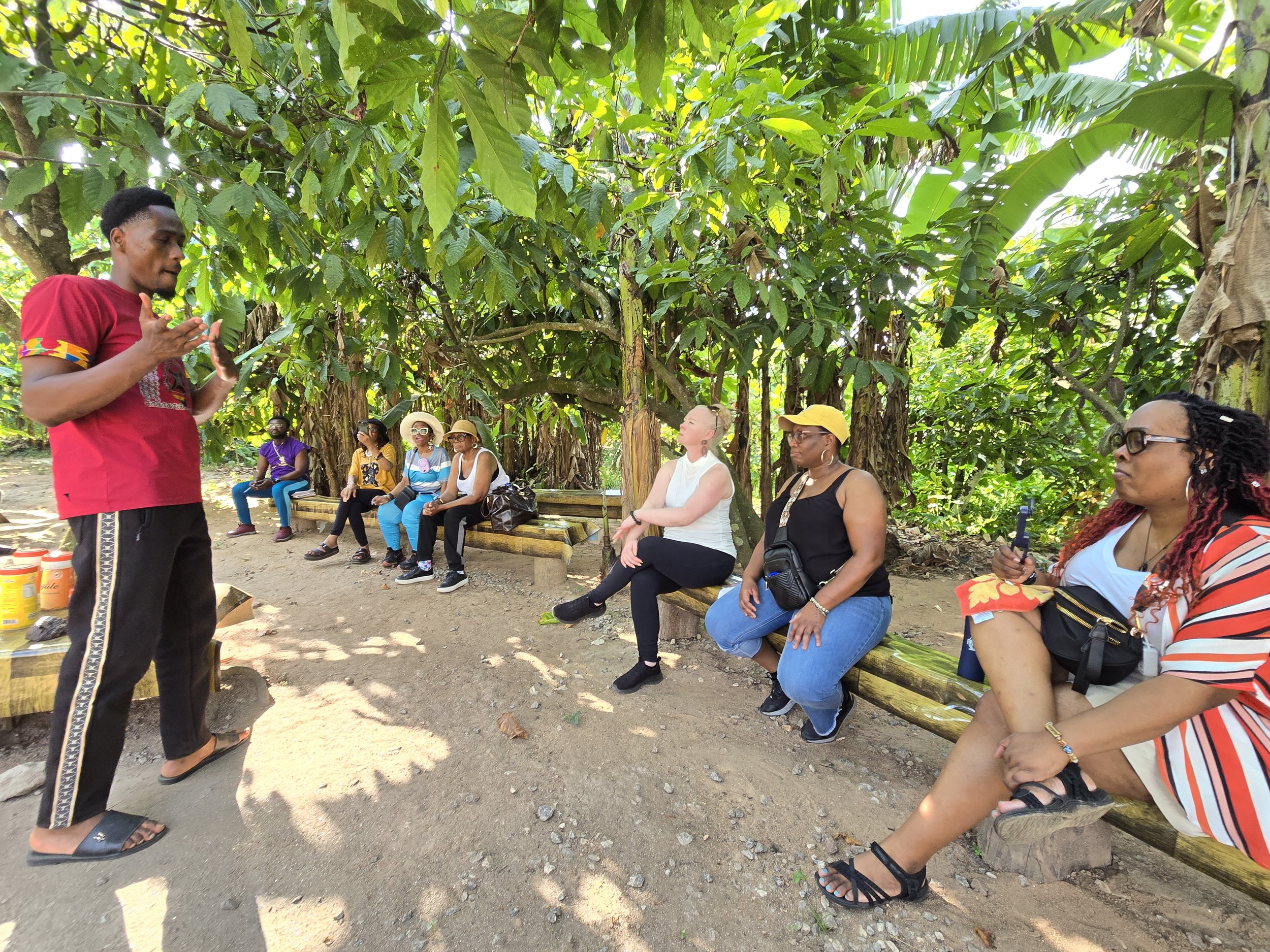 Cocoa Farm