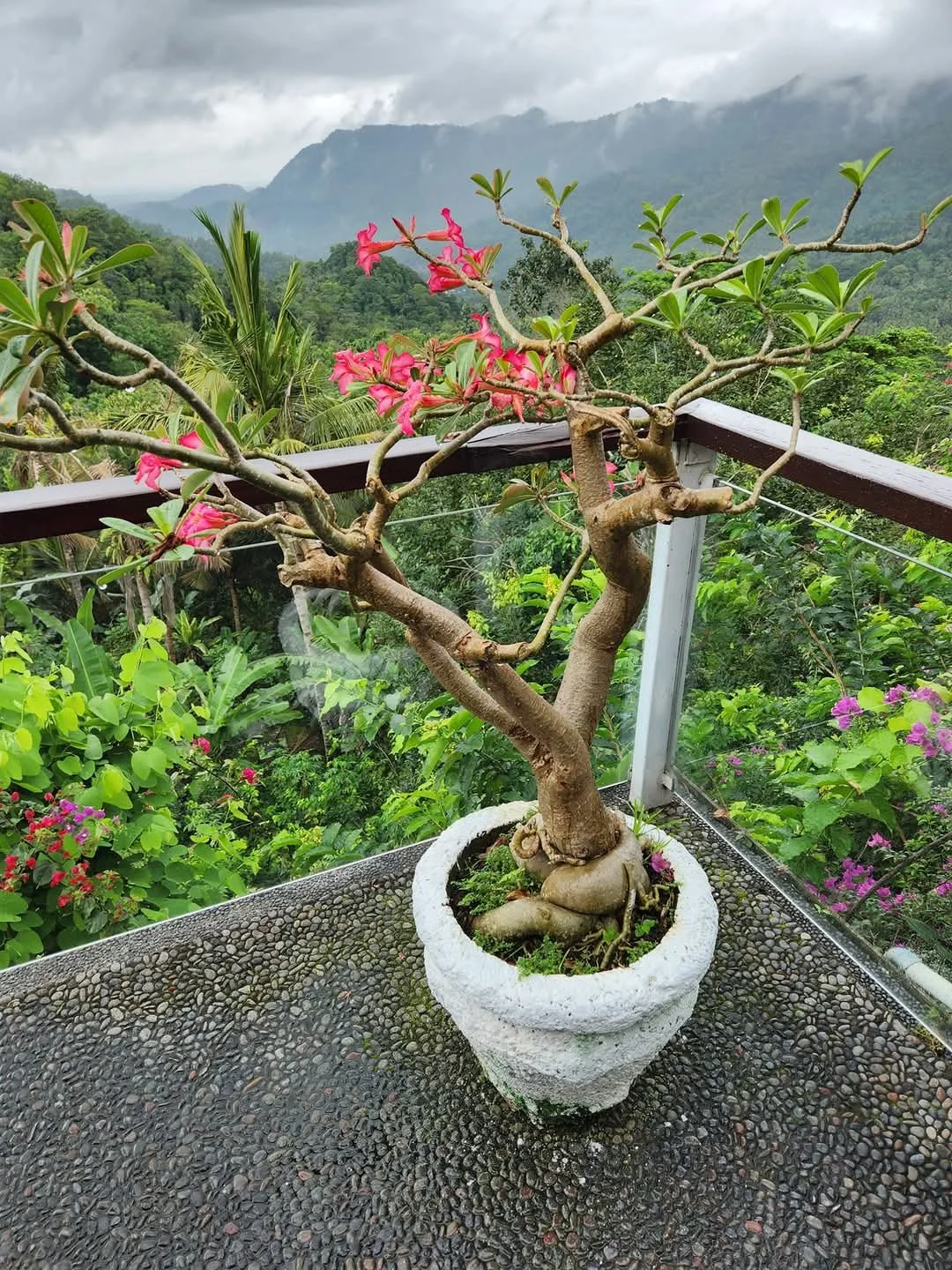 Bali_Tour Path Travel LLC20.jpg