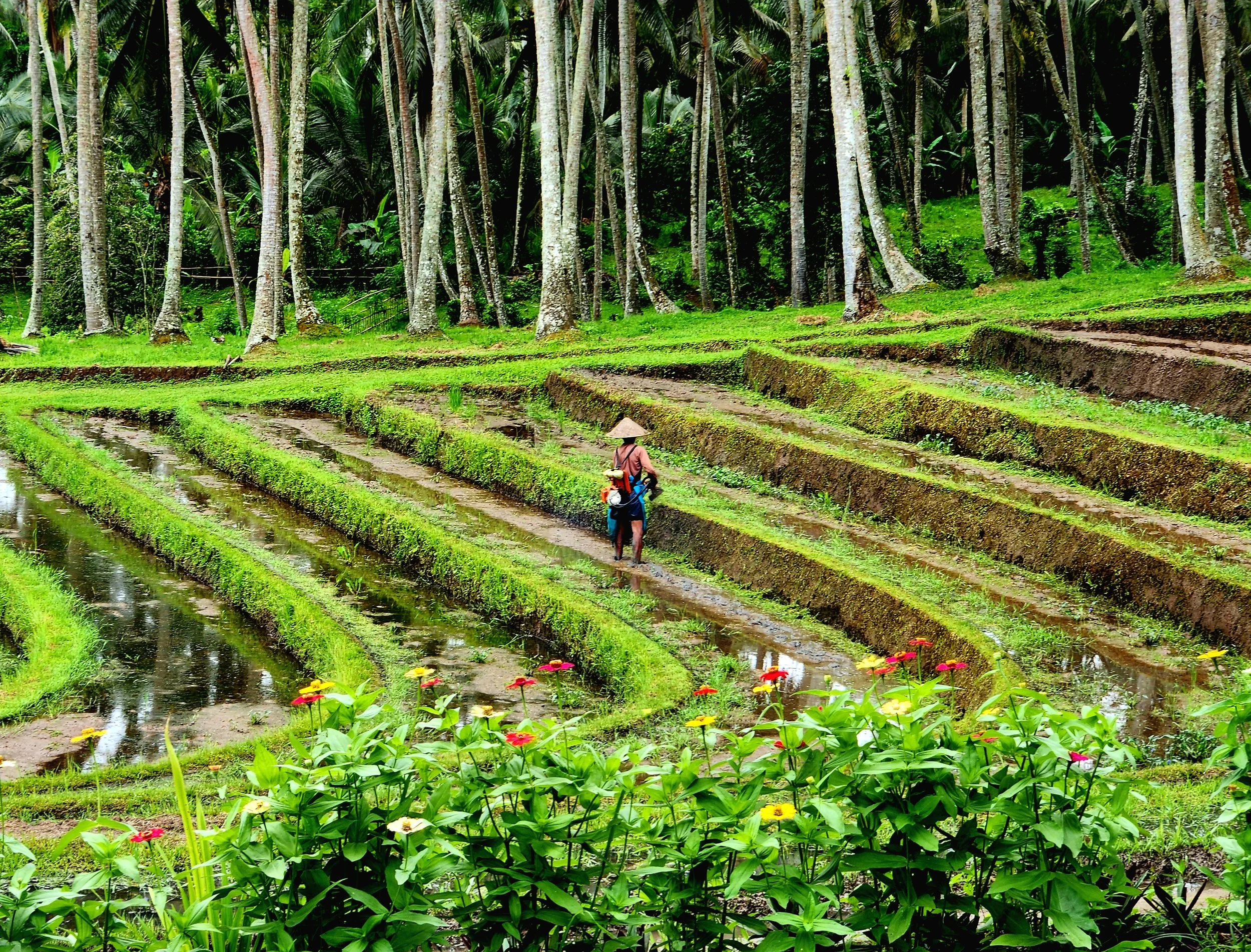 Bali_Tour Path Travel LLC_10.jpg