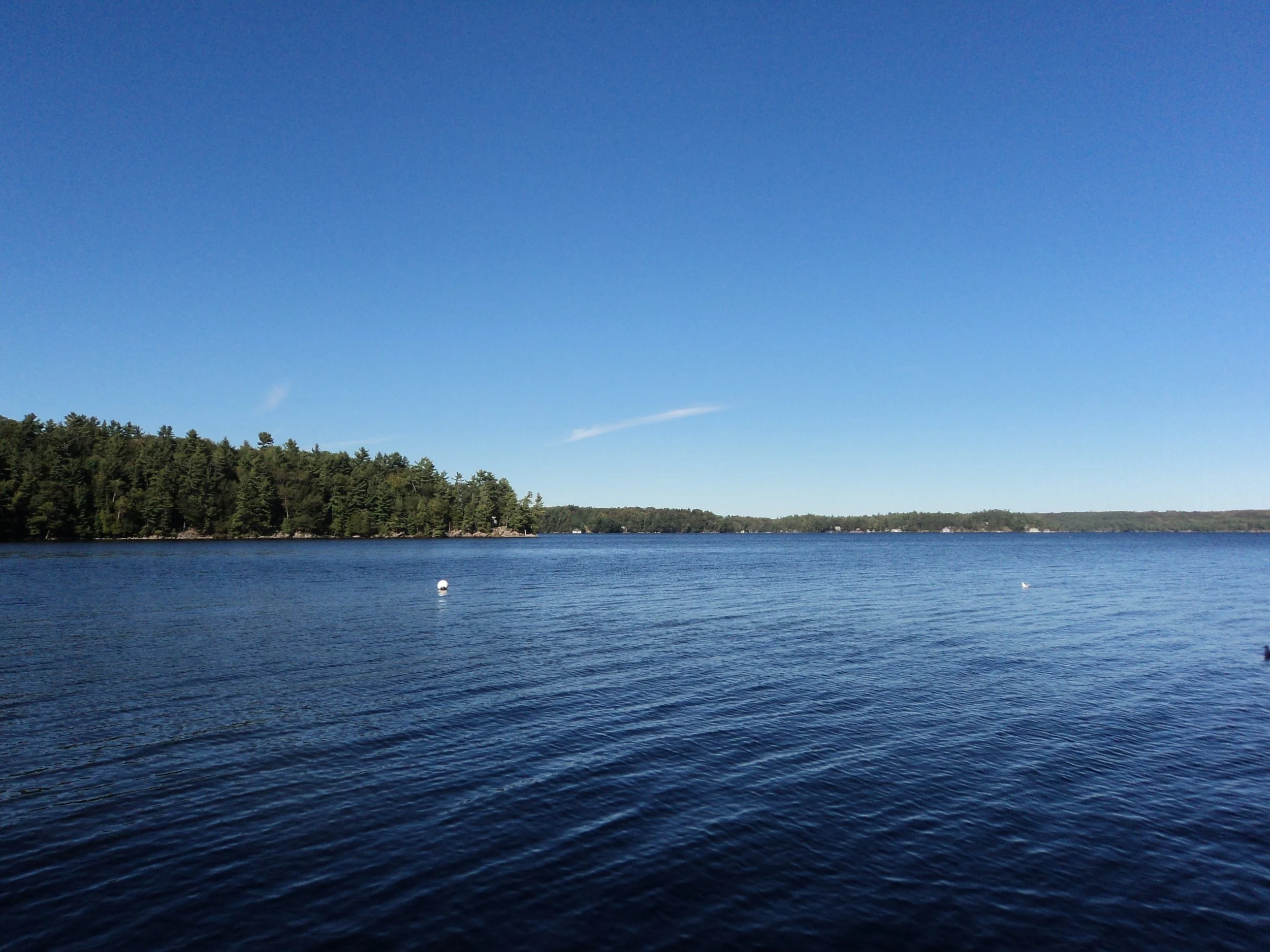 DSC02981.JPG