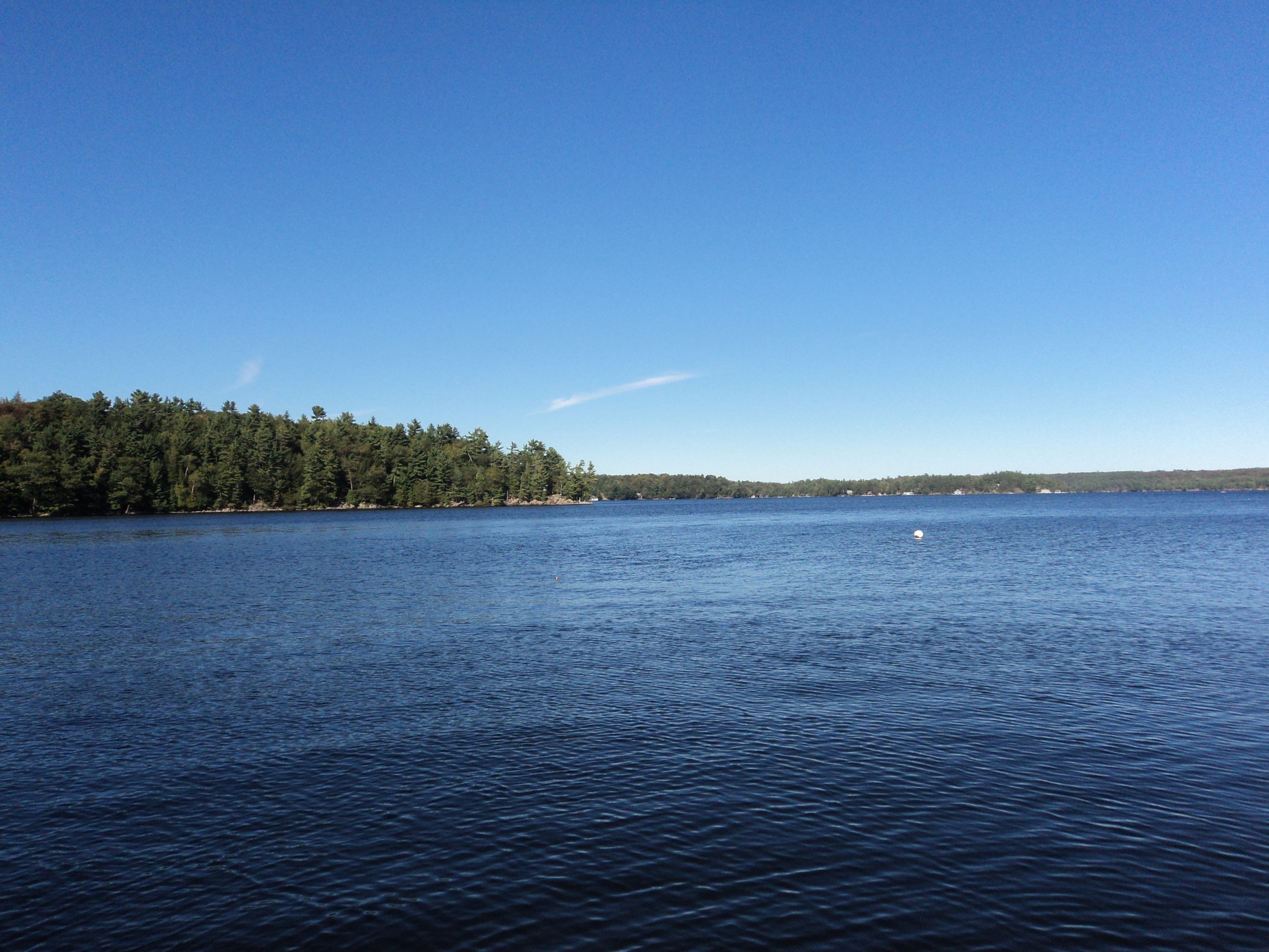 DSC02977.JPG