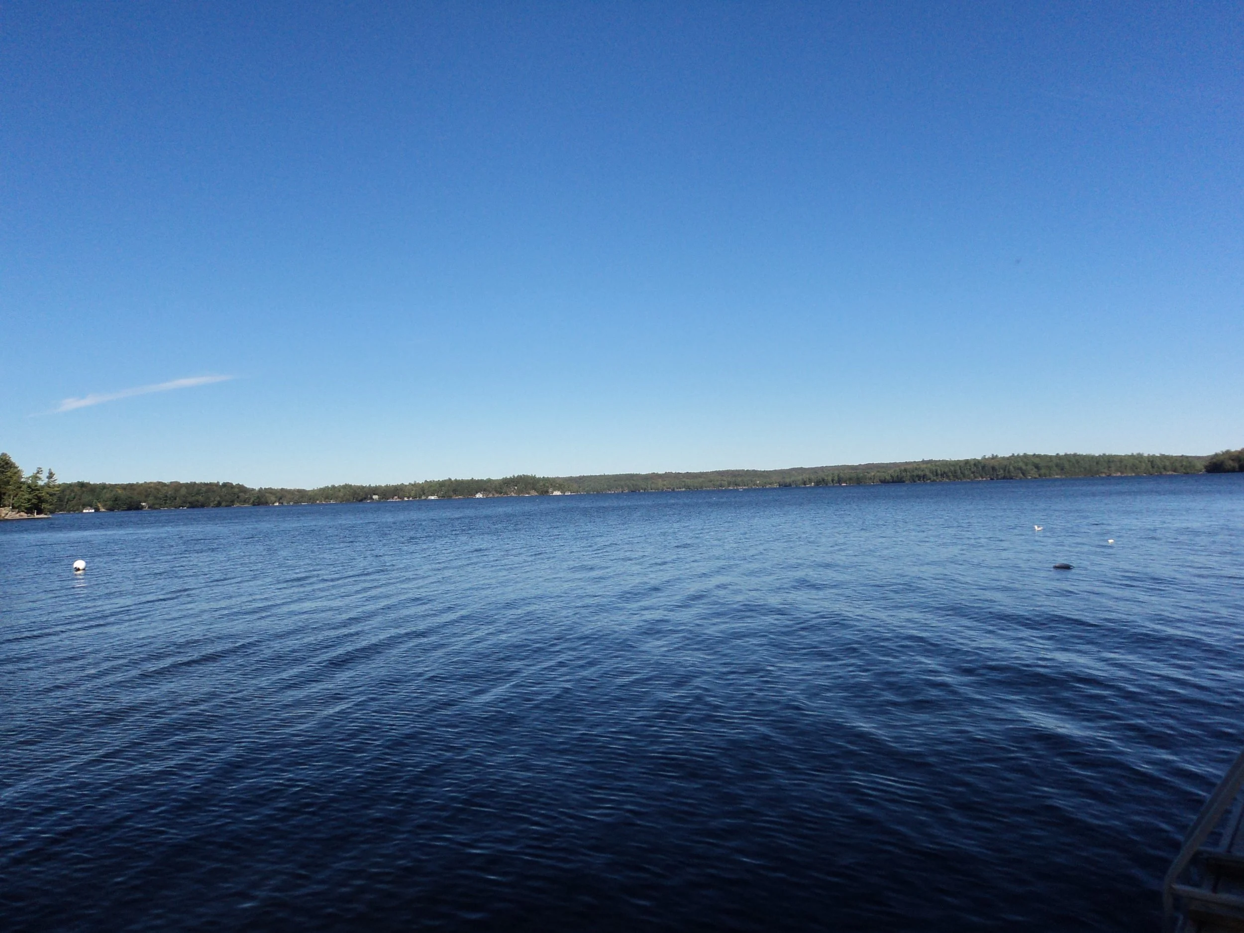 DSC02978.JPG