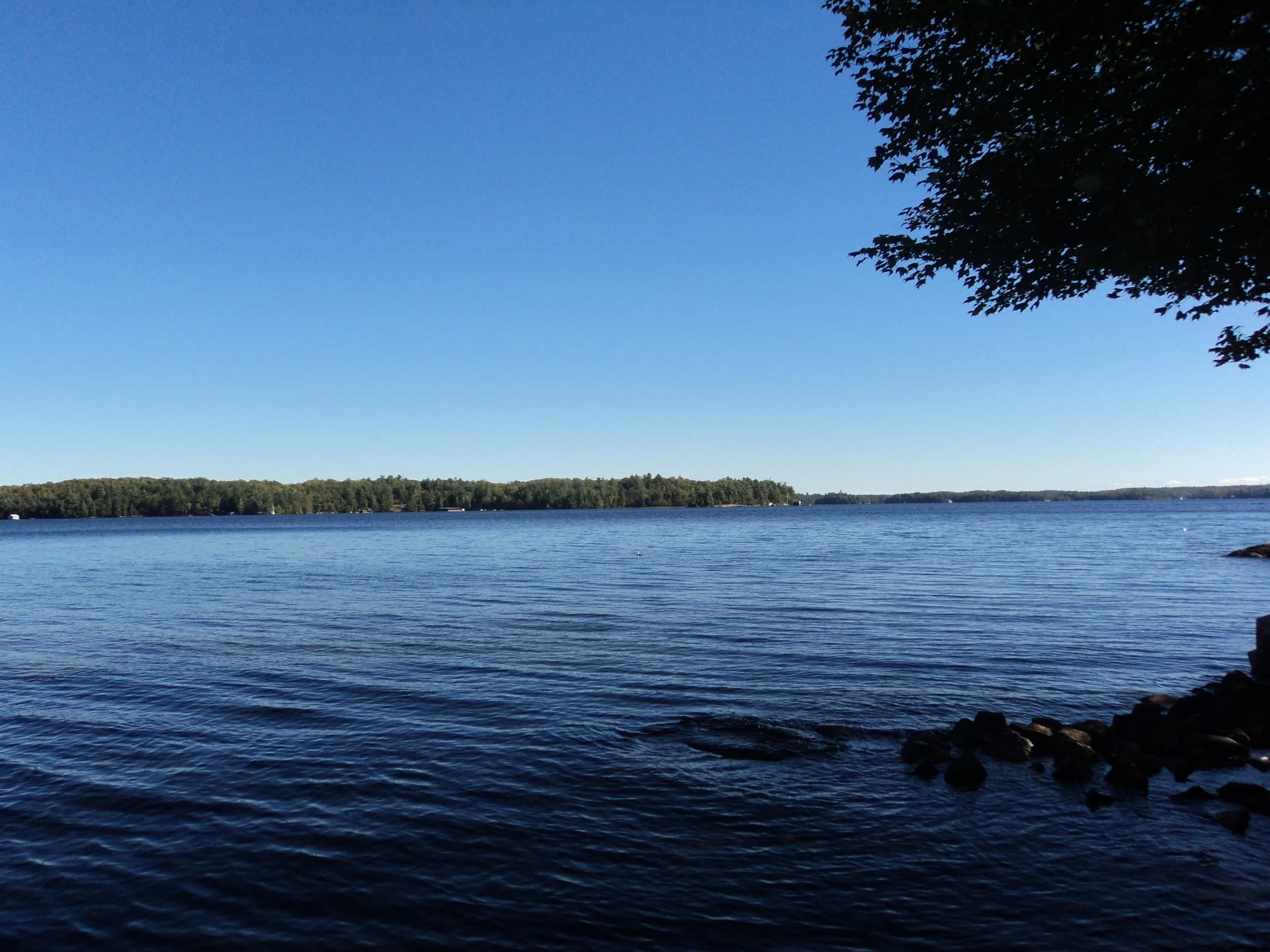 DSC02979.JPG