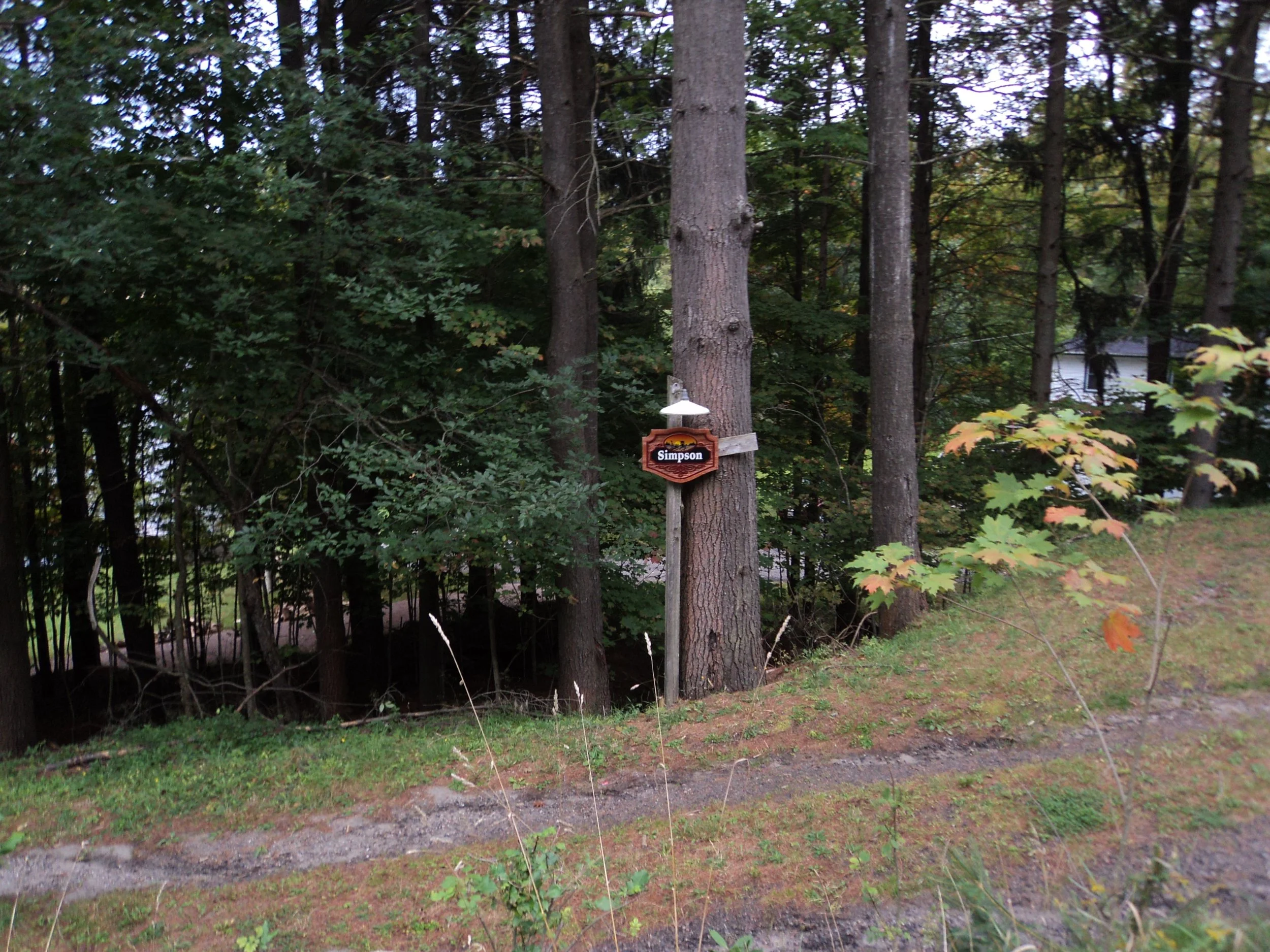 DSC03015.JPG