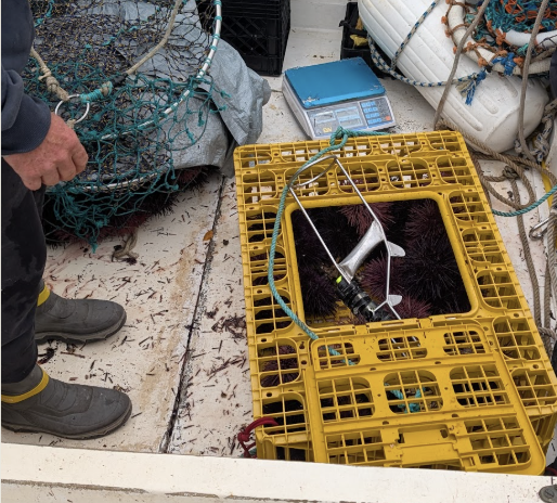 Screenshot 2025-06-17 at 1.17.07 PM.png