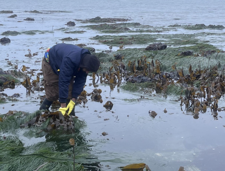 Screenshot 2025-06-17 at 1.16.52 PM.png