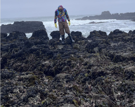 Screenshot 2025-06-17 at 1.17.03 PM.png