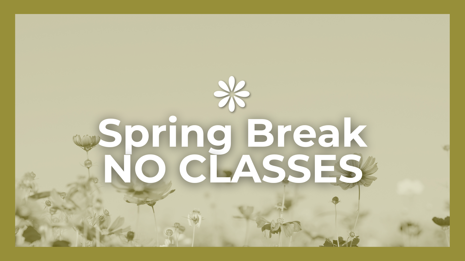 Spring Break - No Classes 