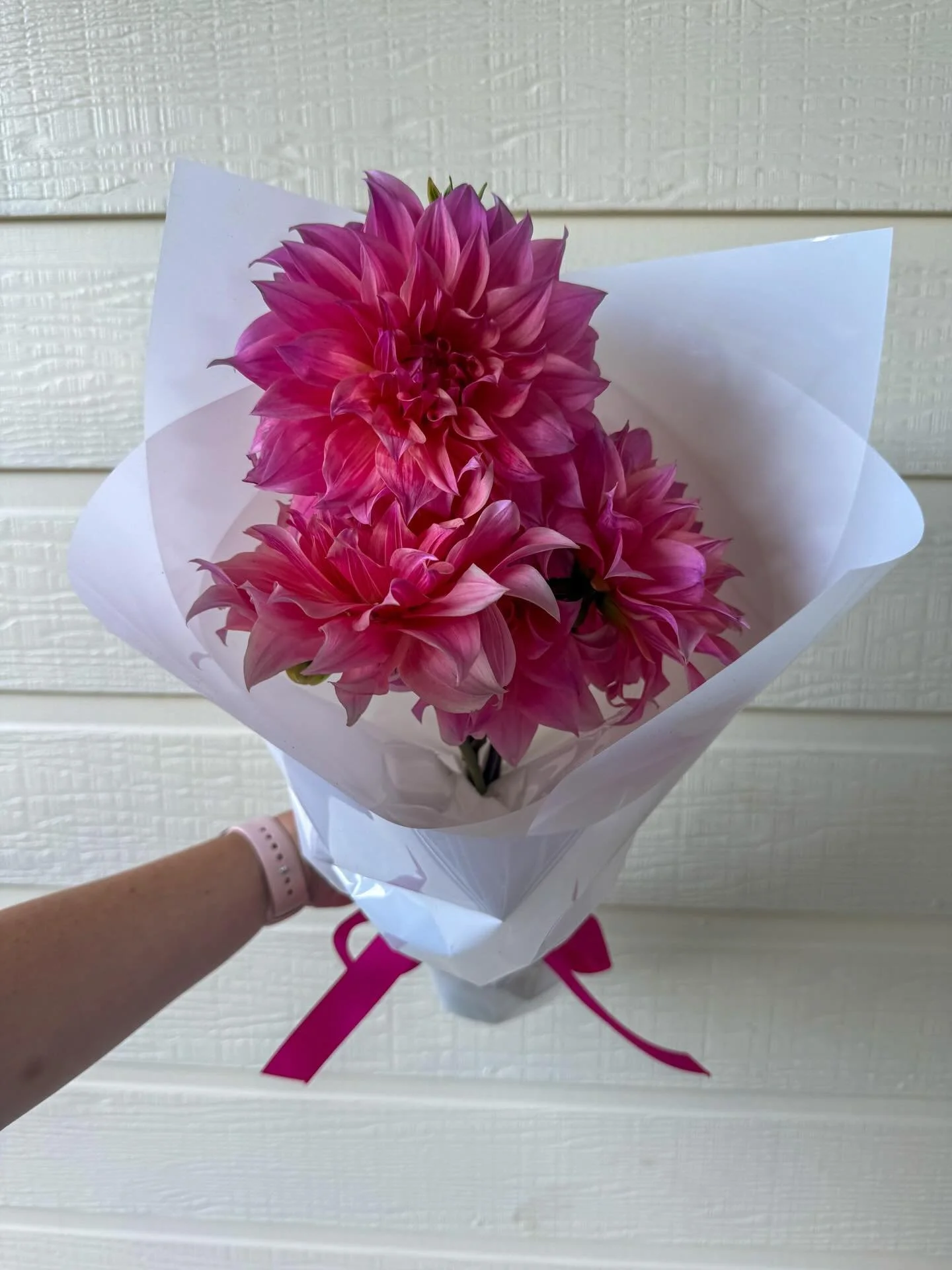 Seasonal market bunches featuring the best blooms of the week 🌸
$35 each
2 days notice required

🚚Free delivery Helensburgh to Shellharbour NSW
🚚$20 delivery to Sydney

Send us a DM or email to order ✨

#illawarraflorist #wollongongflorist #southc