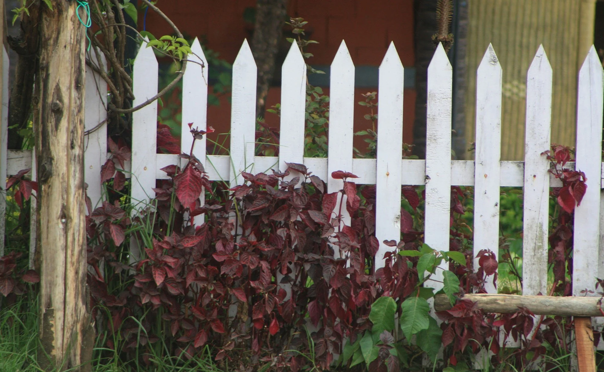 What Fencing Will Increase My Property Value In Mills River, NC