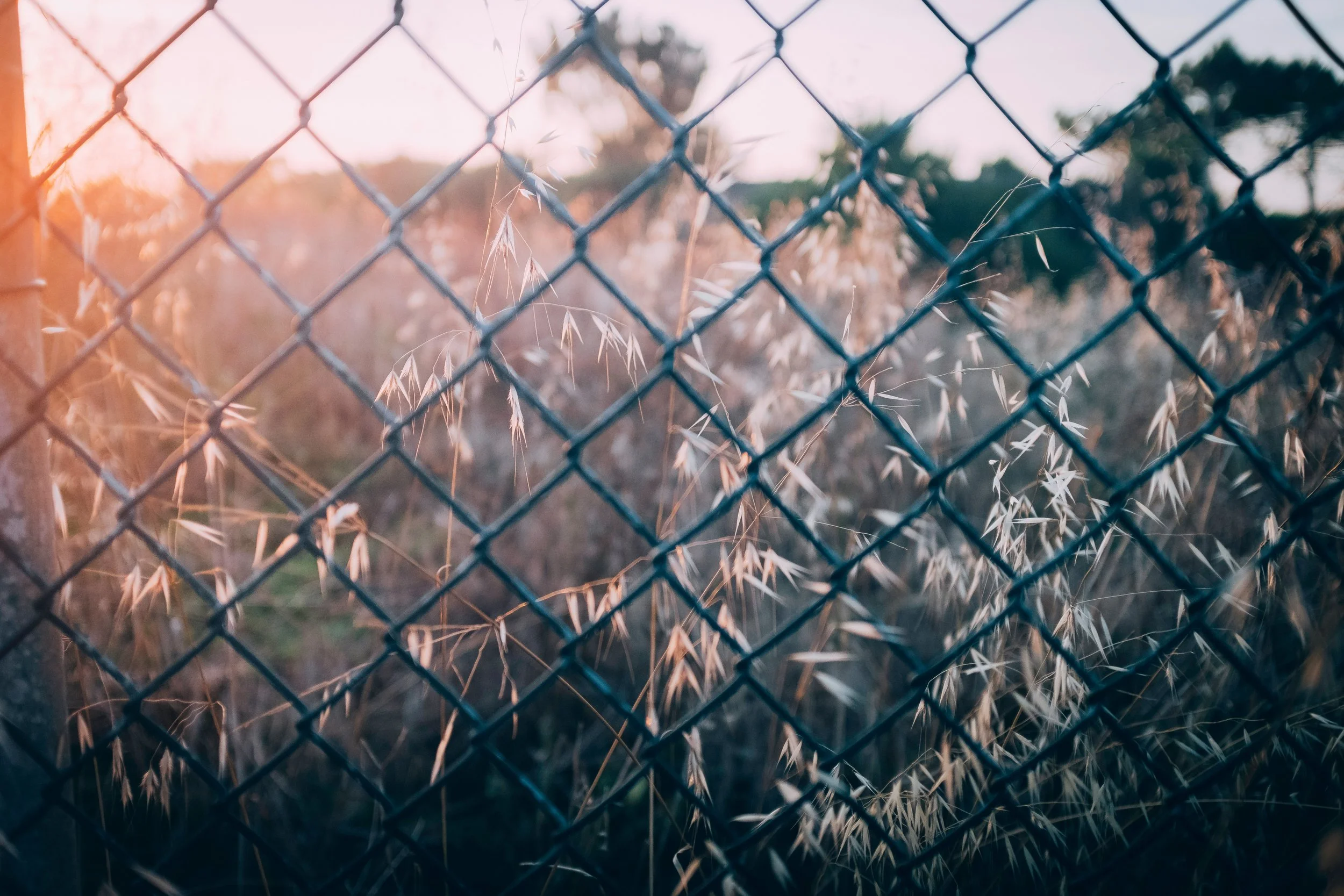 Why Spring Is a Great Time To Build A New Fence