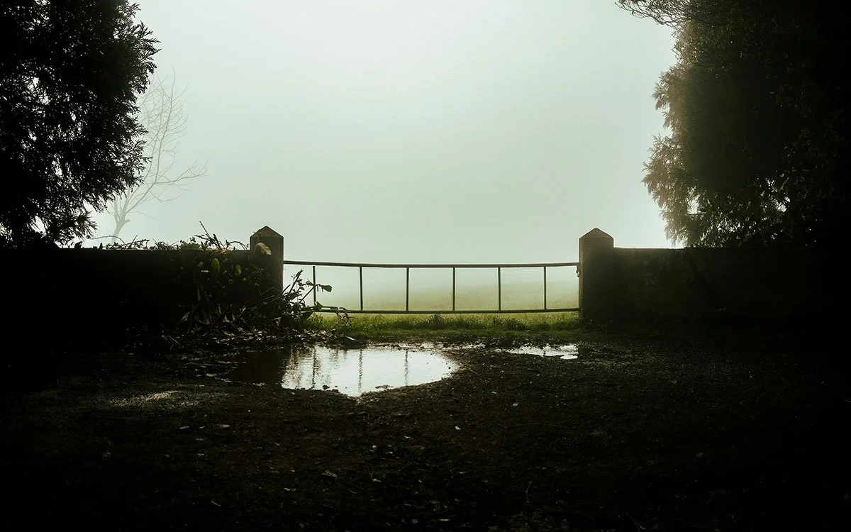 How Excessive Rainfall Can Affect Your Yard And Fence