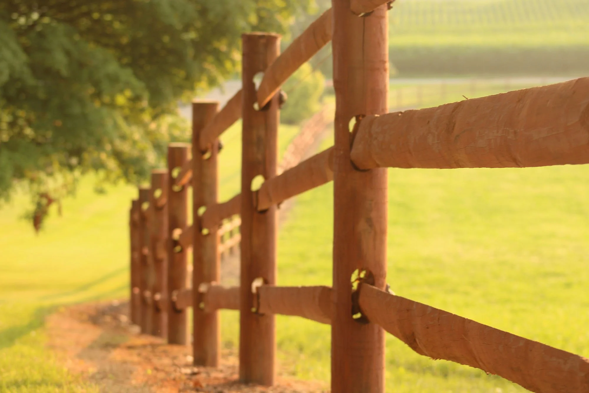 Introducing Fence Repair Vs. Fence Replacement In Western North Carolina