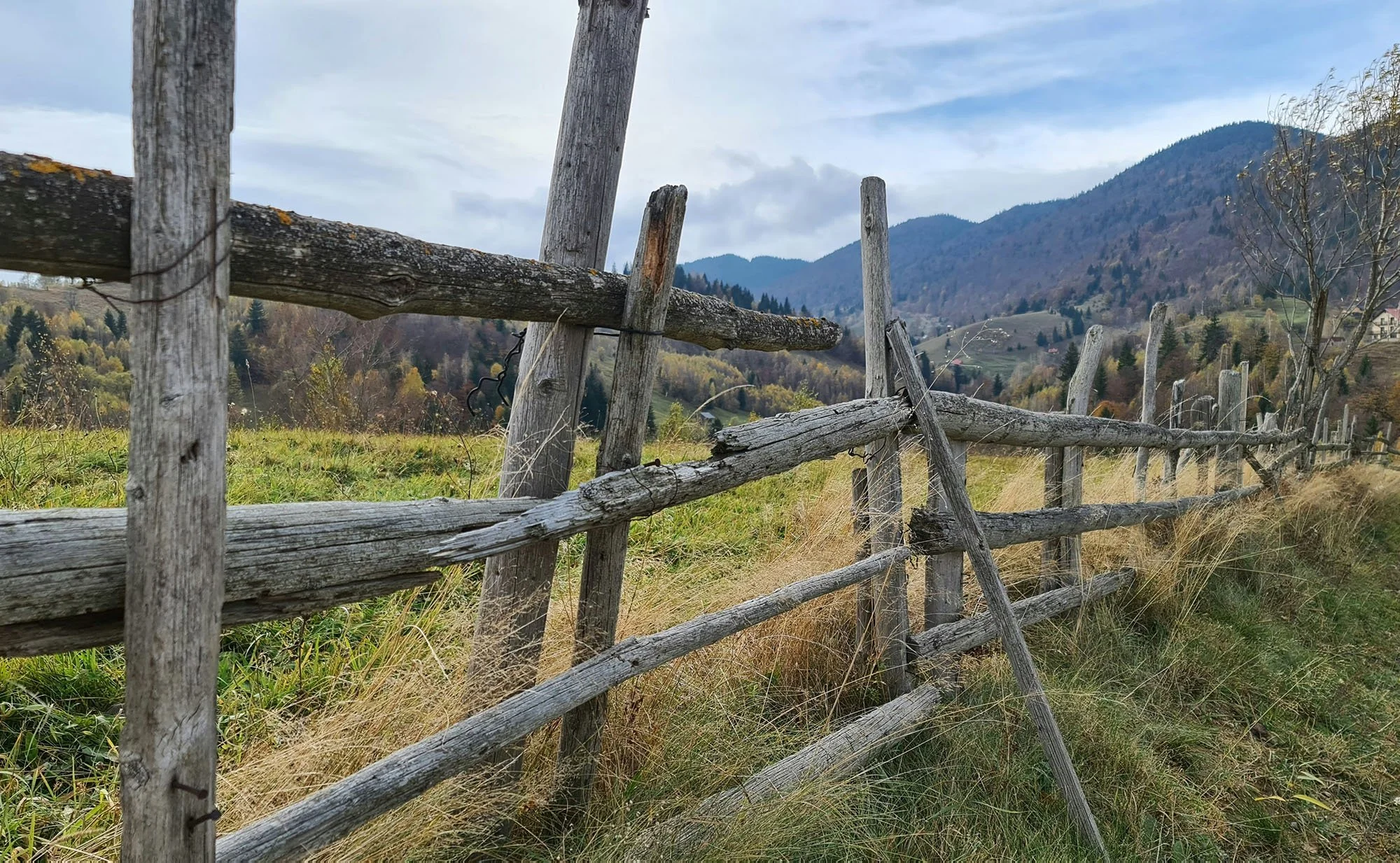 Signs Your Fence May Be Able To Be Repaired In Western North Carolina