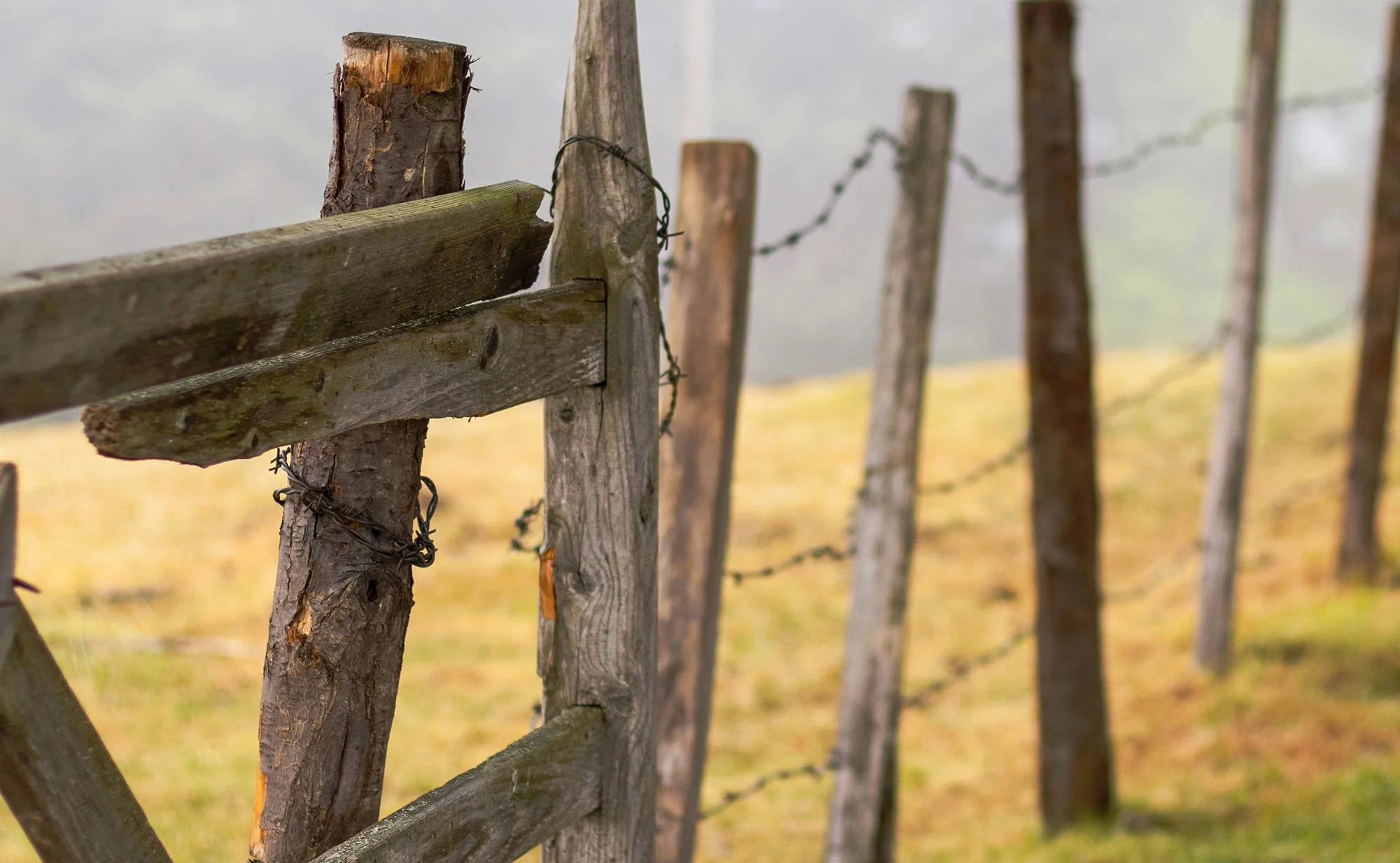 Why Fences In Western North Carolina Wear Out Differently