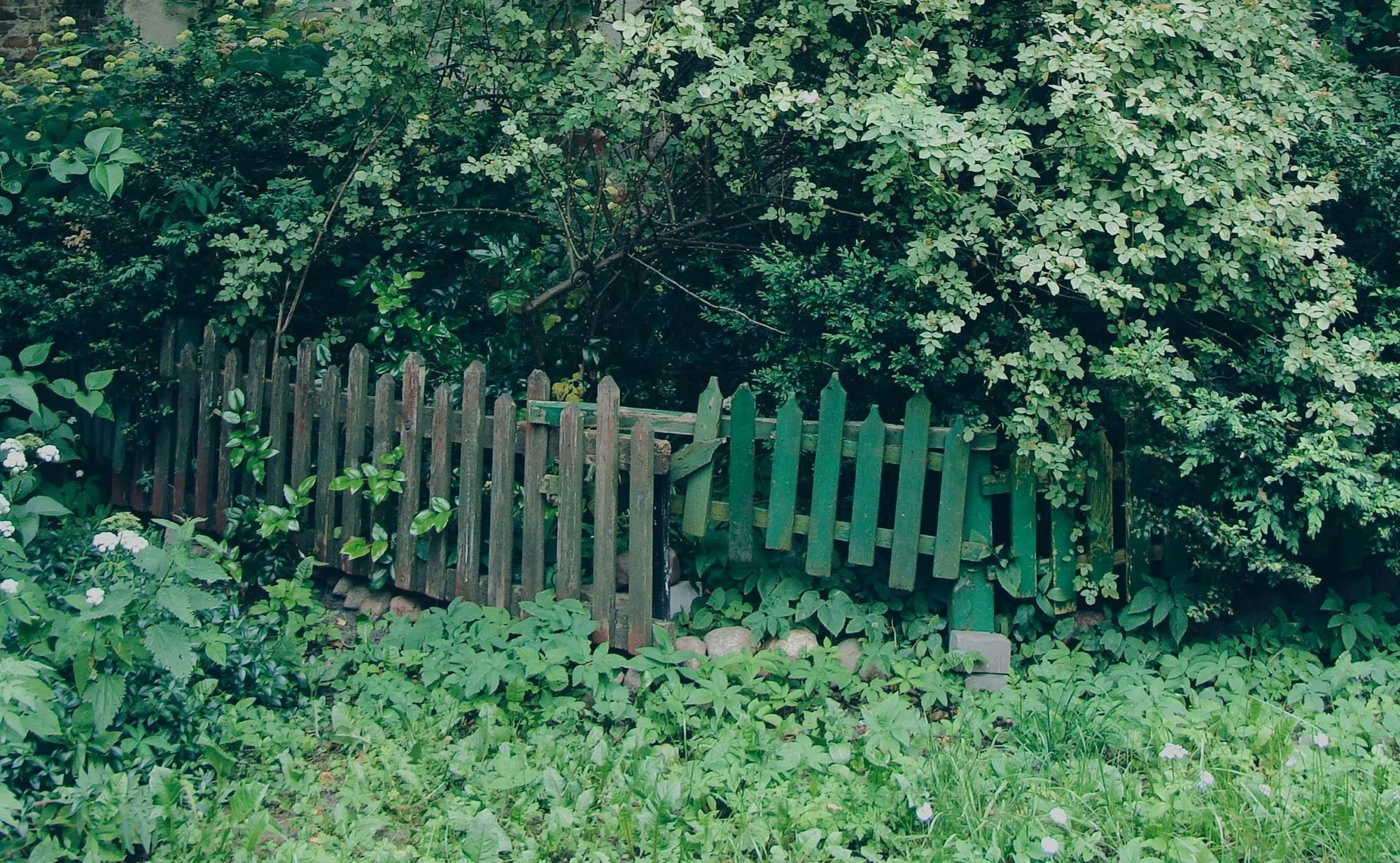 Signs Your Fence May Need Replacement