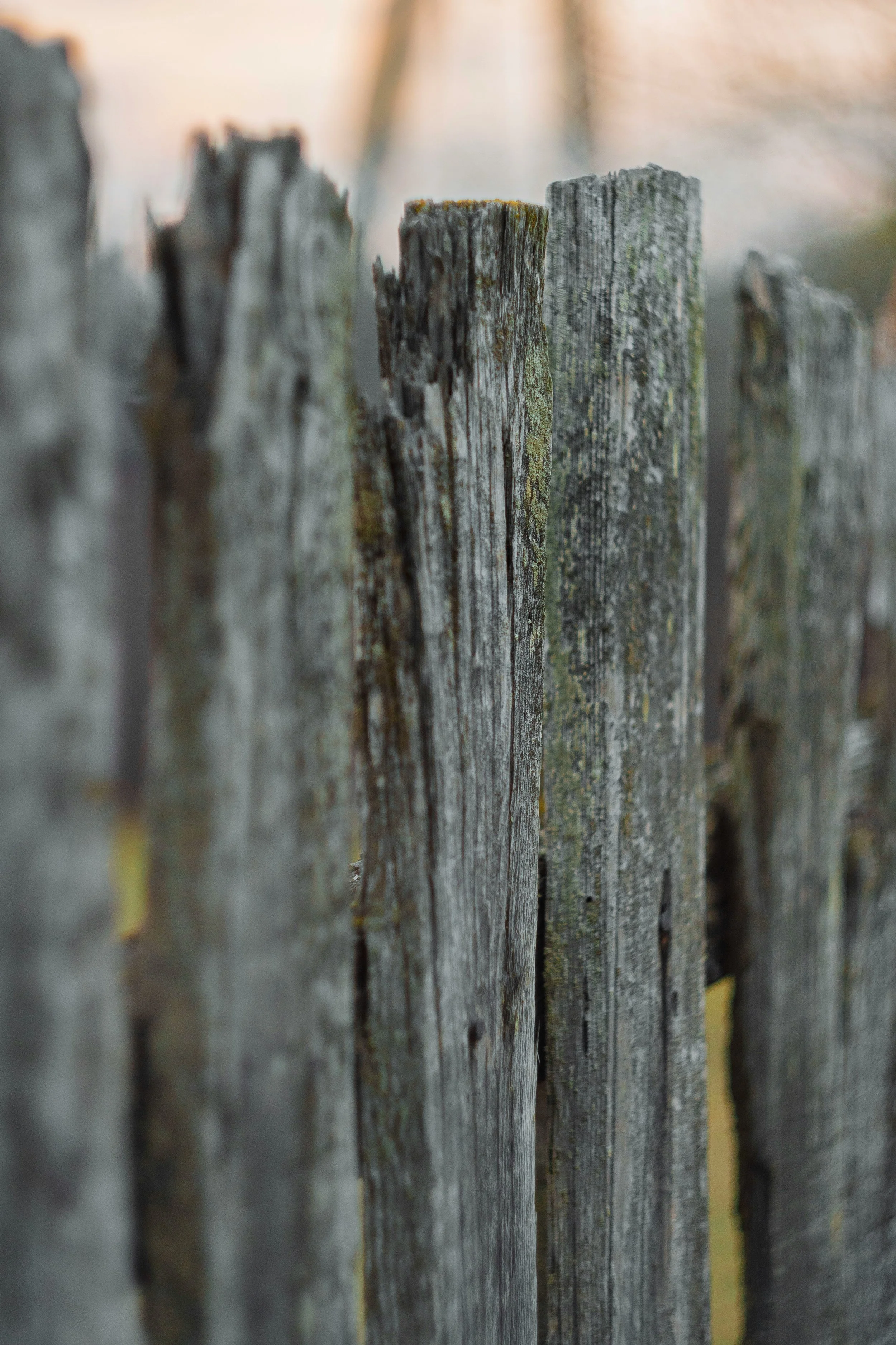 Should My Fence Be Repaired Or Replaced In Asheville, NC?