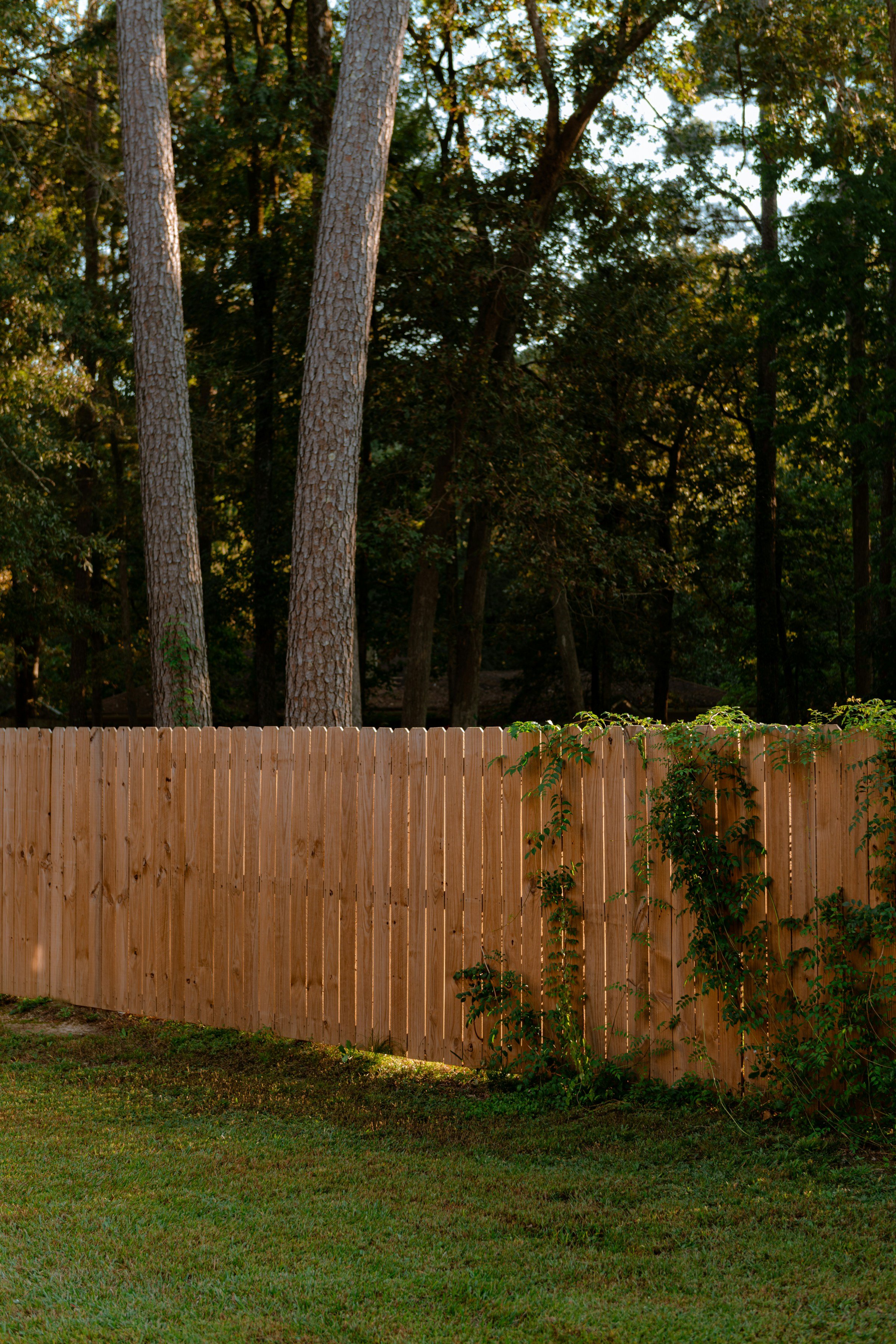 Who Builds Fences in Hendersonville, NC?