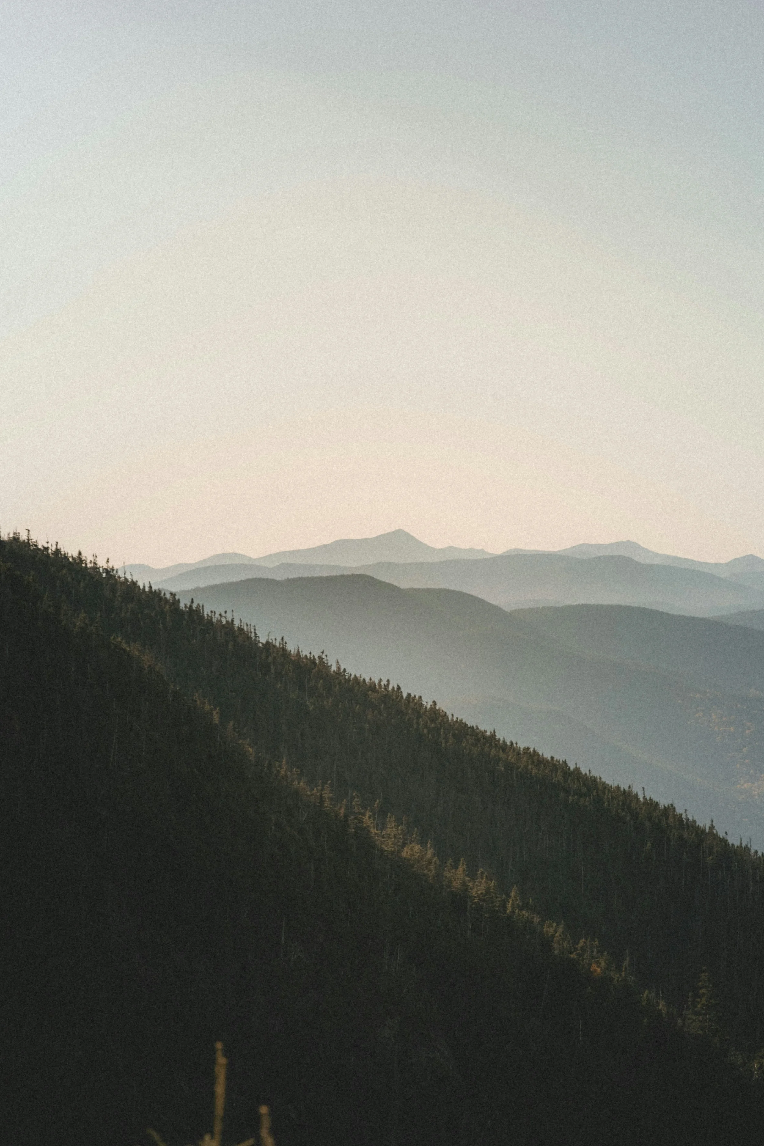 New Aluminum Fence In Fletcher And Arden, NC