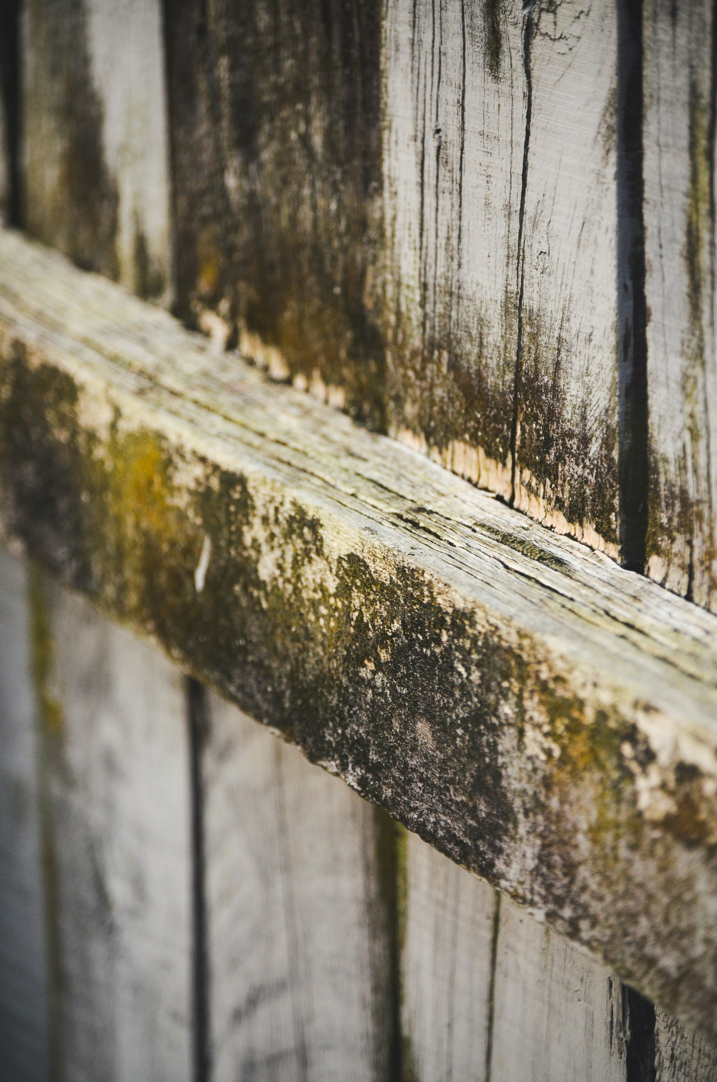 Should My Fence Be Repaired Or Replaced In Hendersonville, NC?