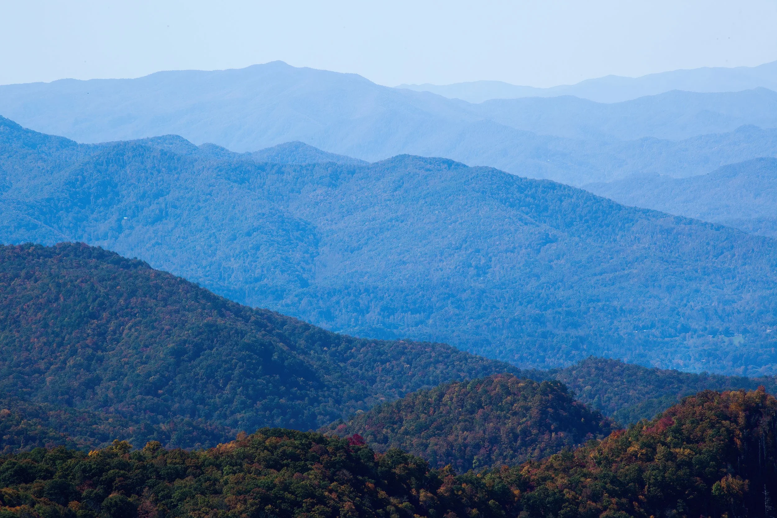 Fence installer Hendersonville, NC