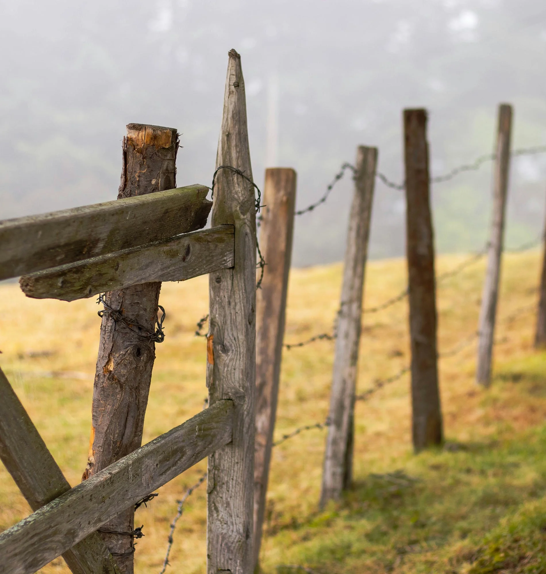 Fence Repair or Replacement Mills River, NC