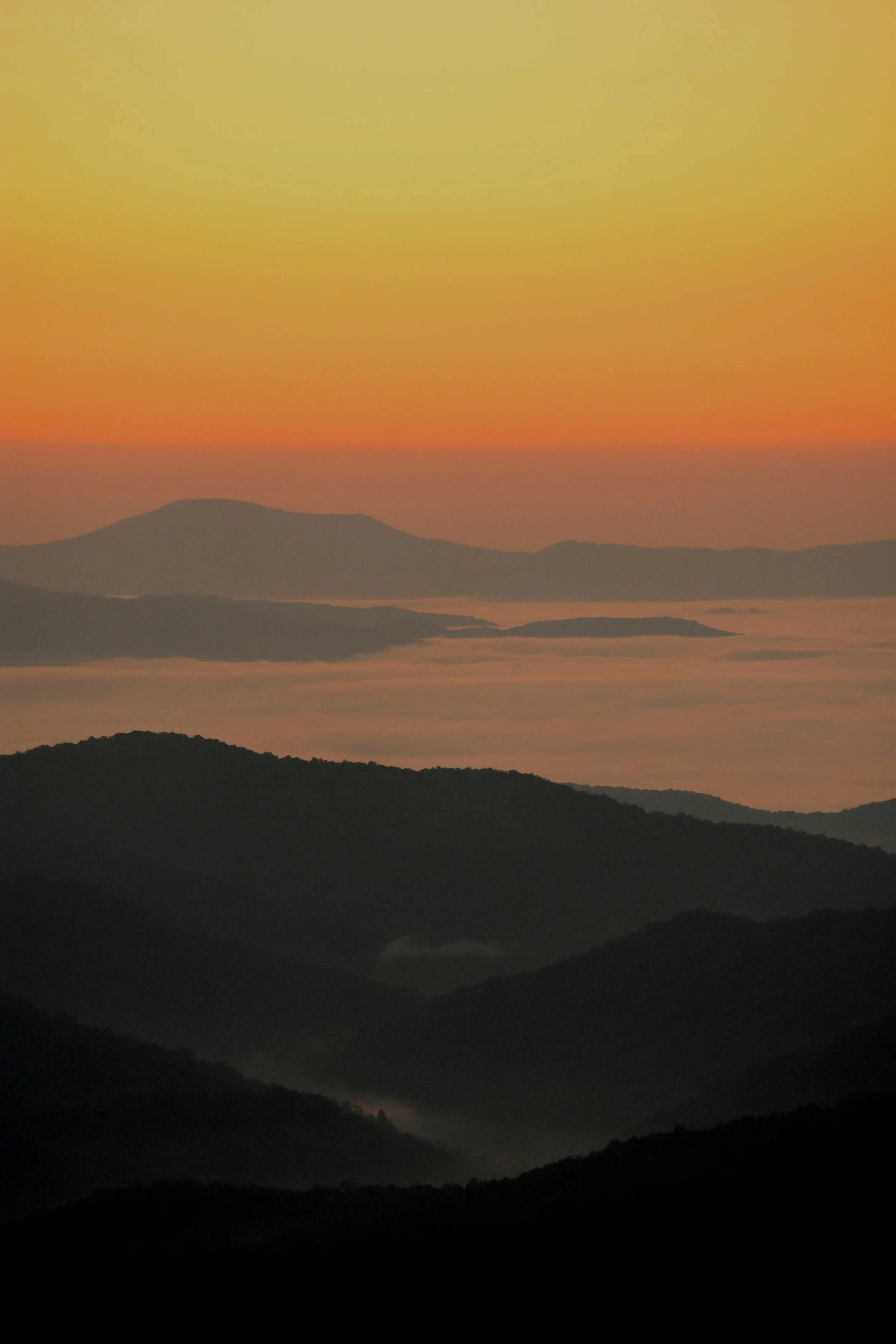Fence Installer Mills River, NC