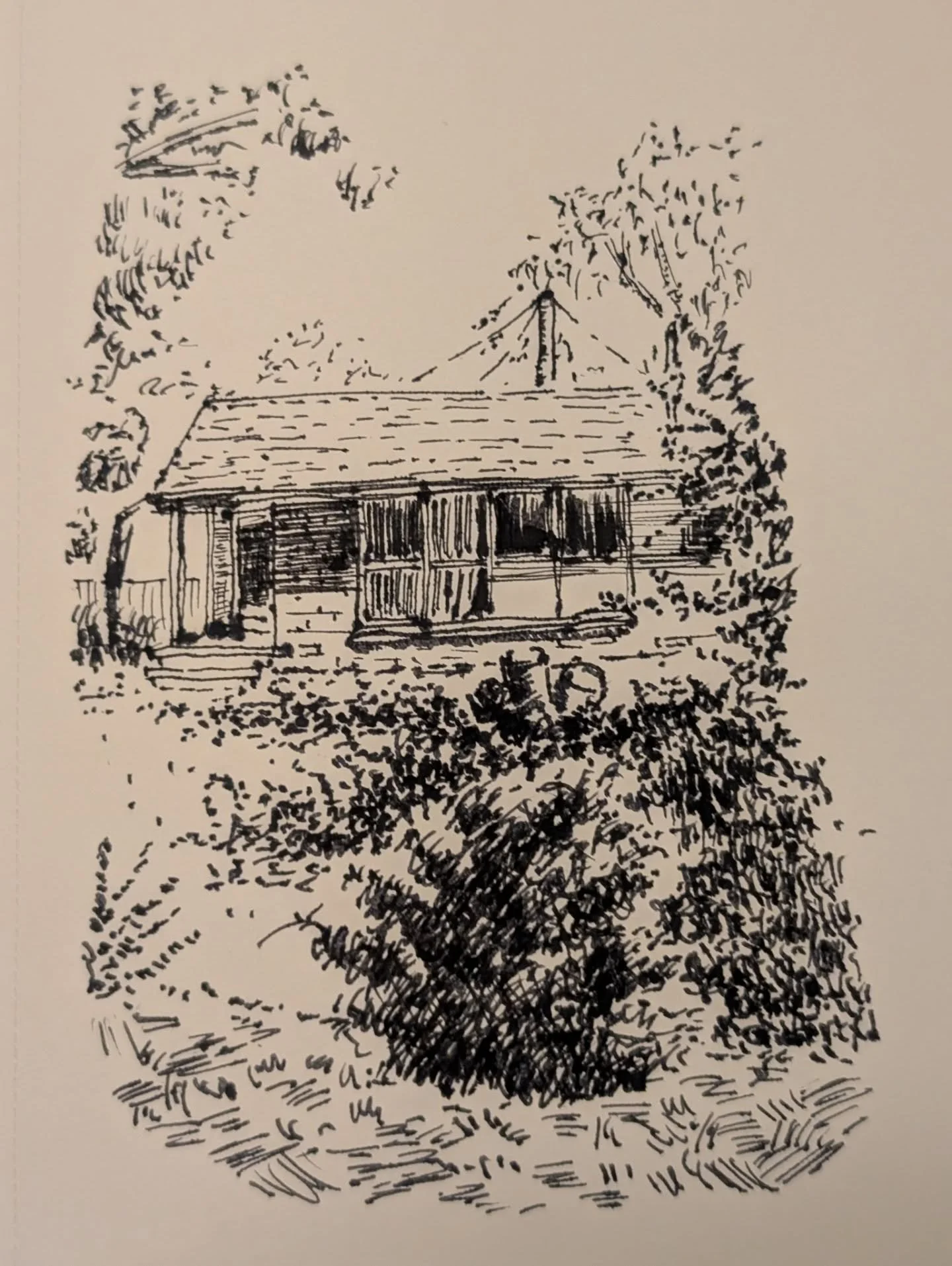 Another speed sketch for Inktober day 3!

#Inktober2025 #housedrawing #fountainpen