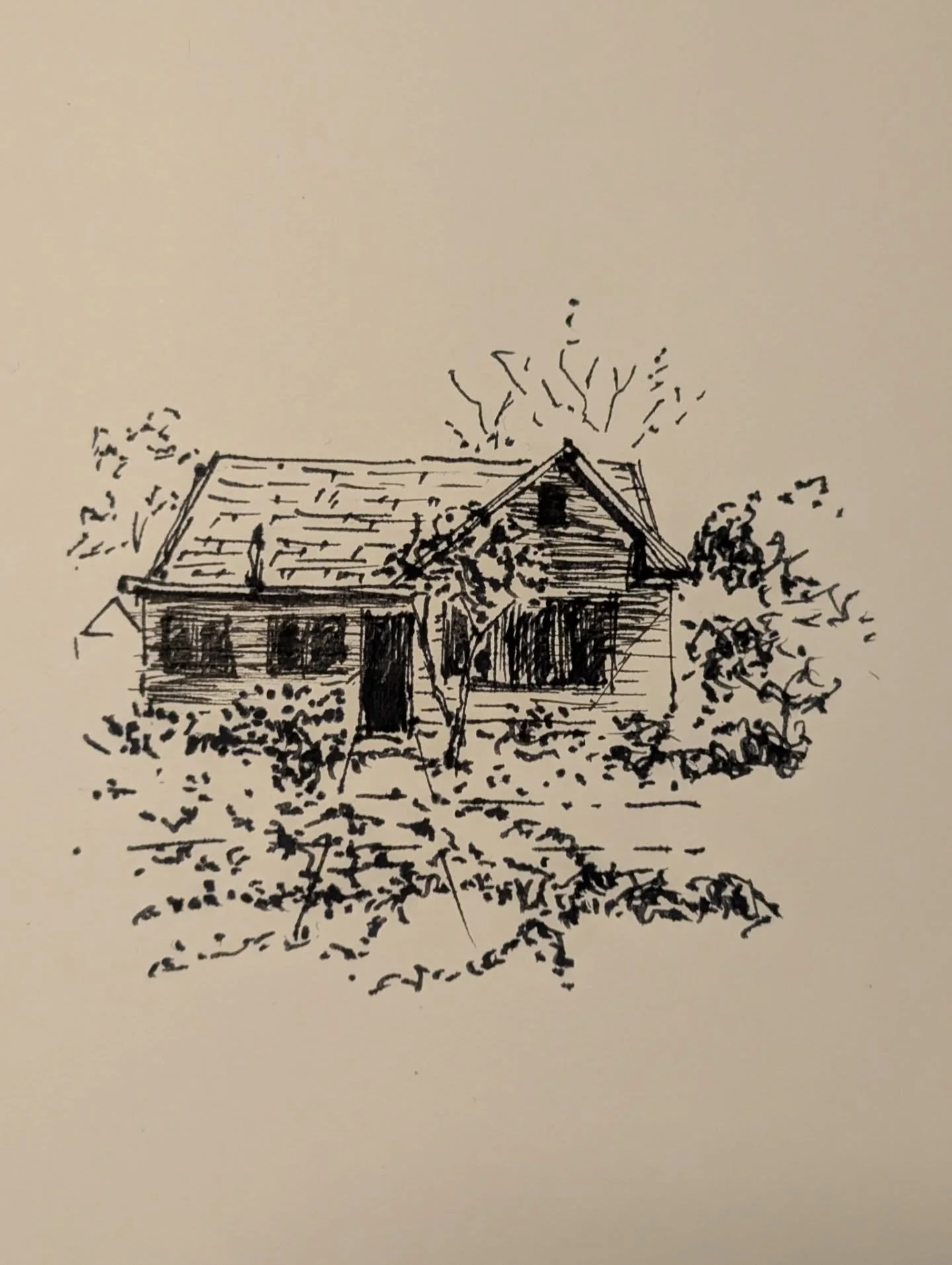 Quick sketch for Inktober day 2

#inktober2025 #urbansketching #housedrawing