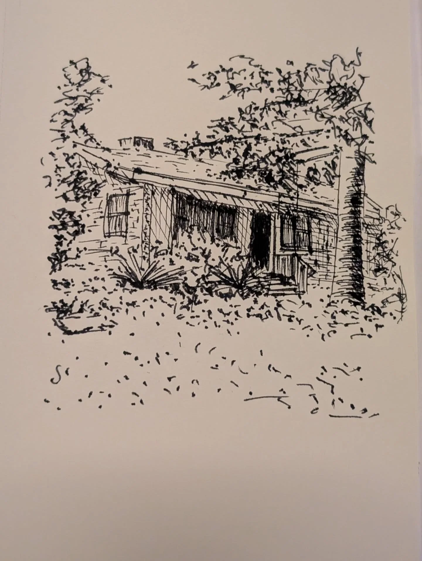 Quick daily sketch for inktober

#inktober2025 #housedrawing