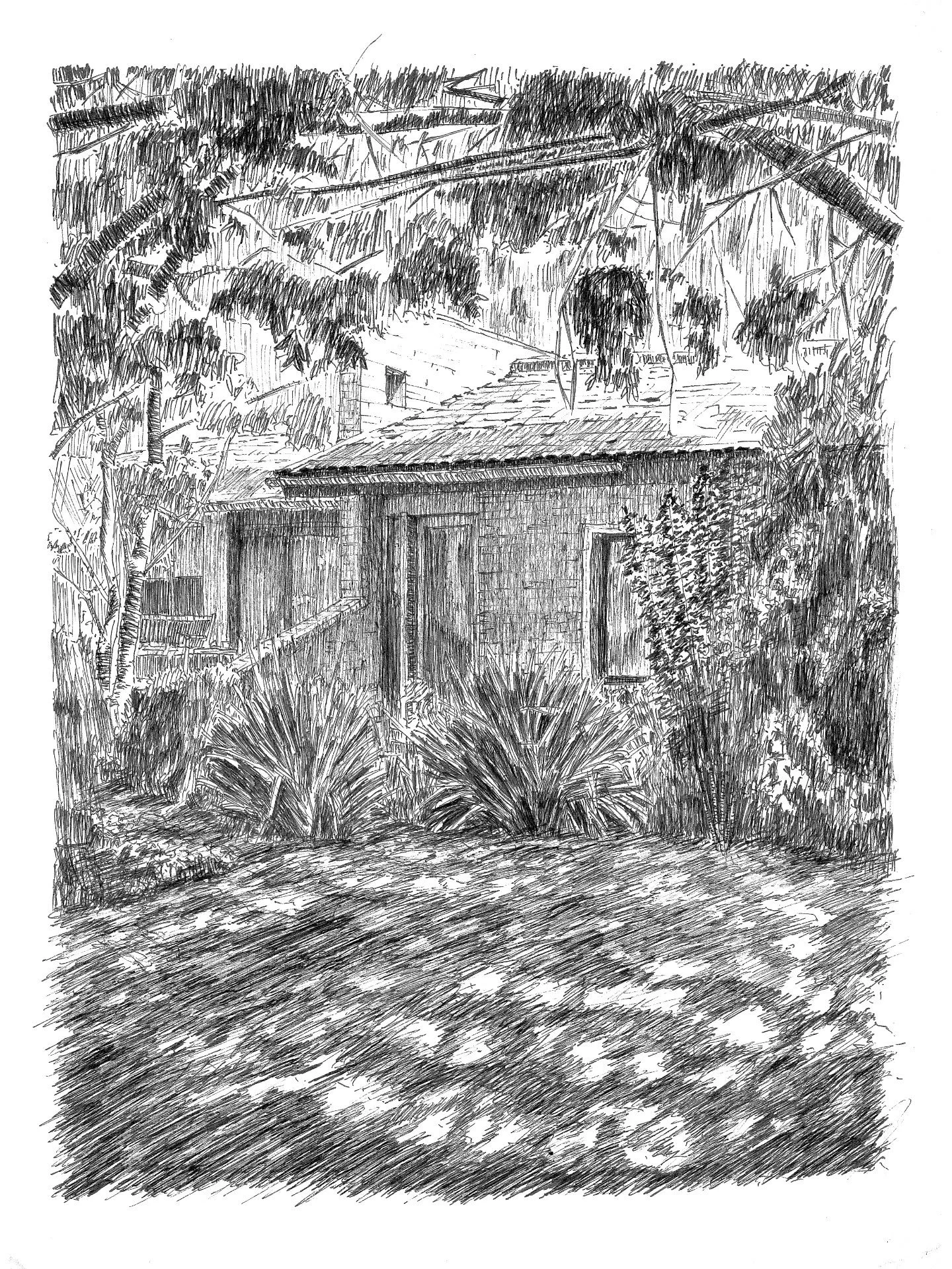 Doodling some house

#urbansketching #midcenturymodern #architecture