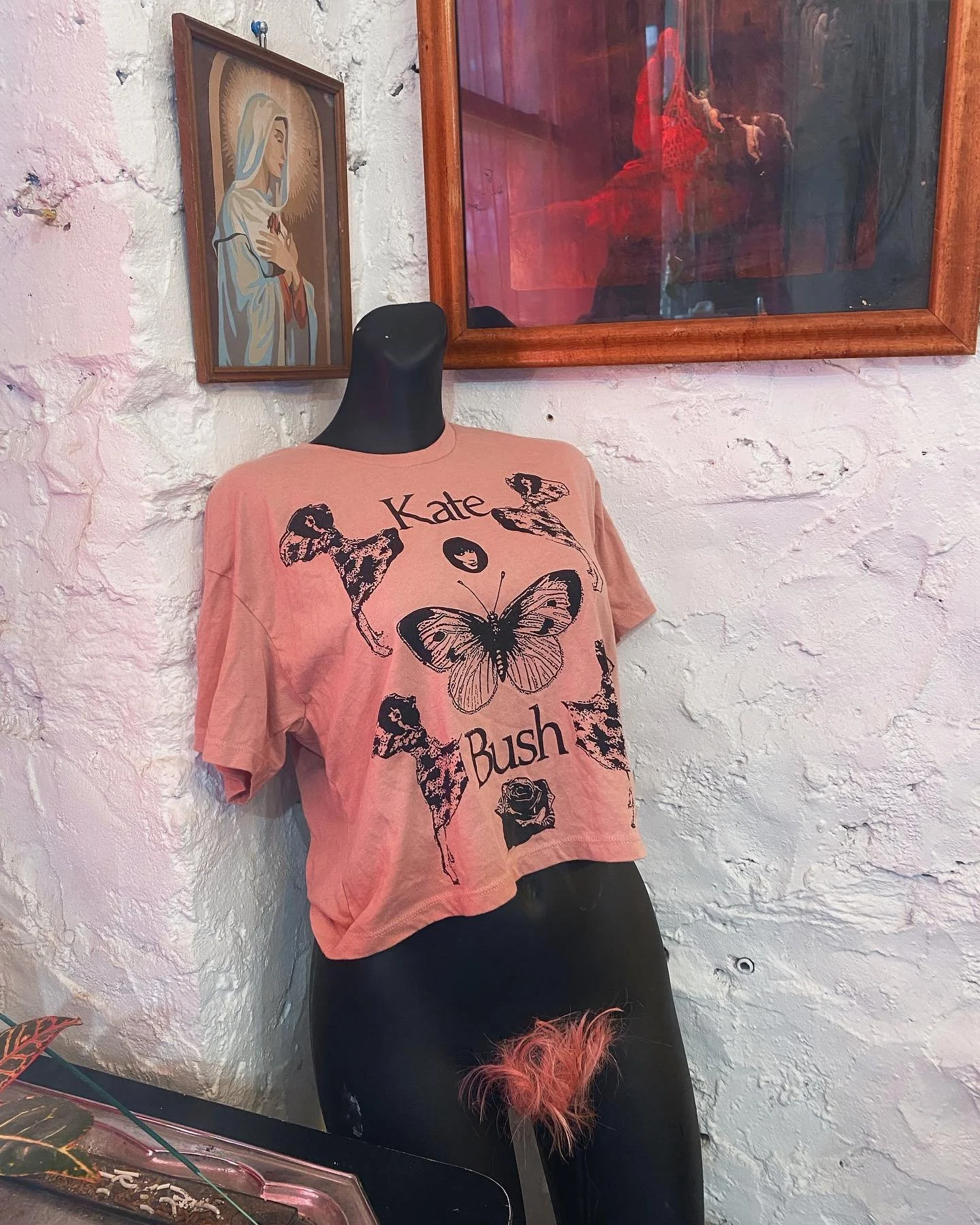 Kate&rsquo;s Bush
💞💞💞