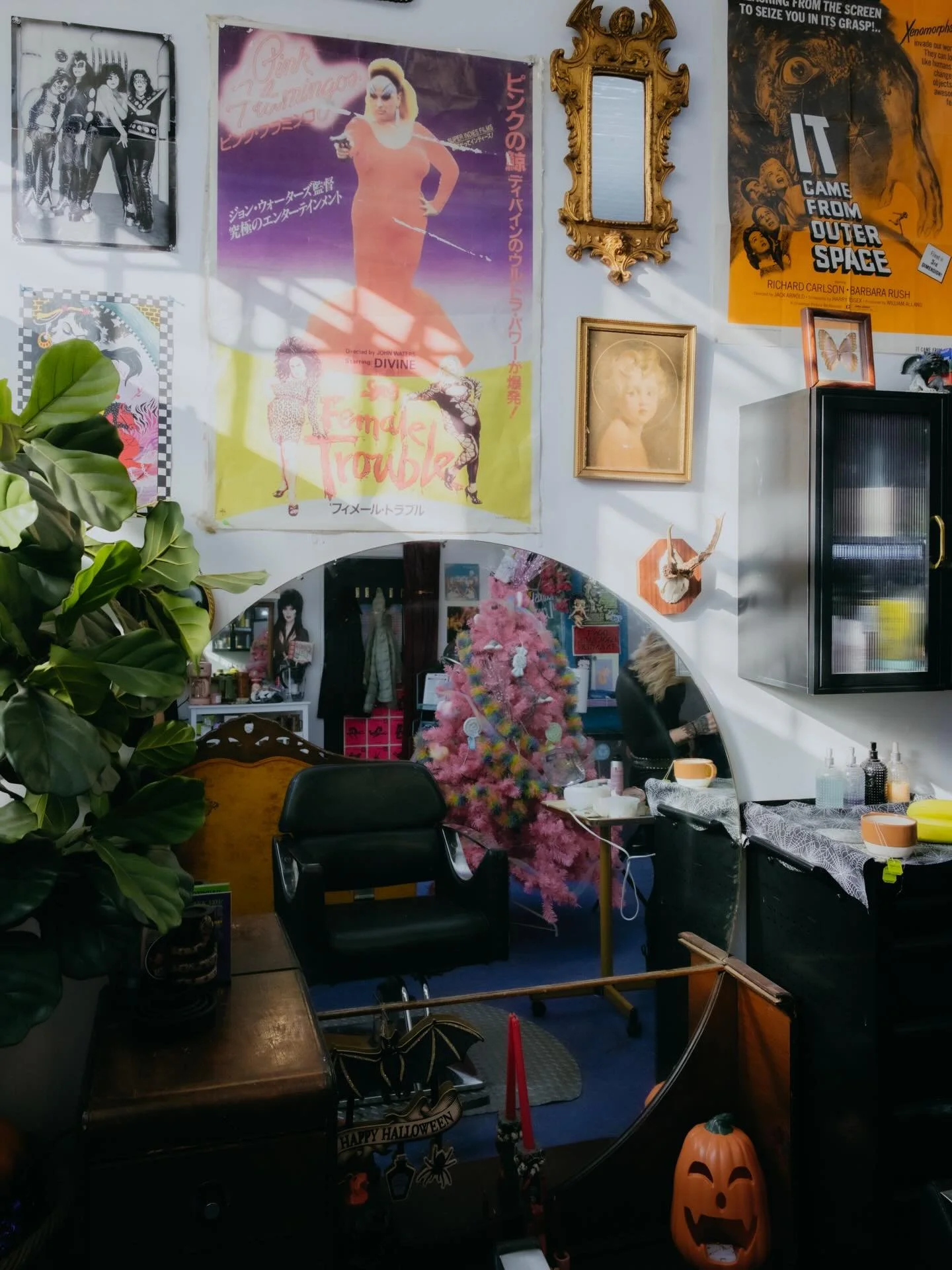 ⭐️⭐️⭐️THANK YOU FOR BEING HERE &spades;️

📸 @niagphotography