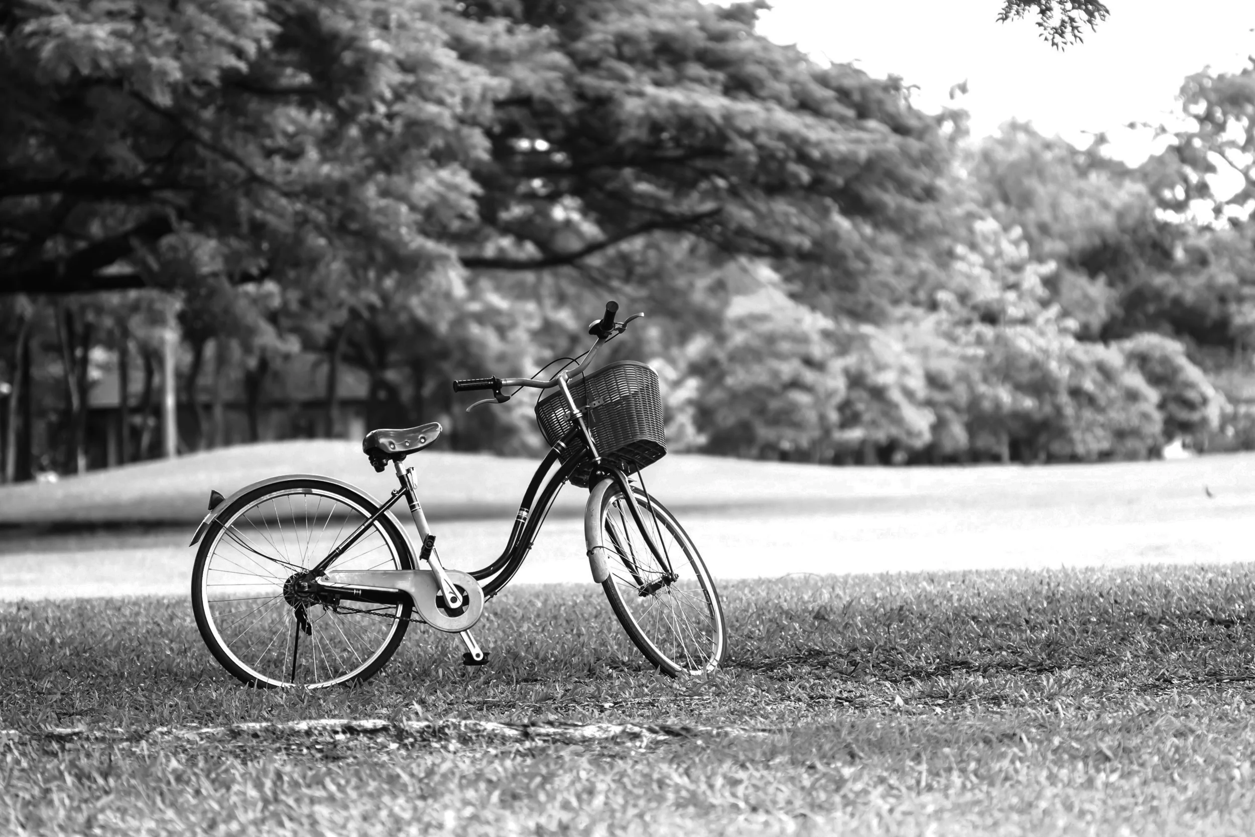 bike.jpg