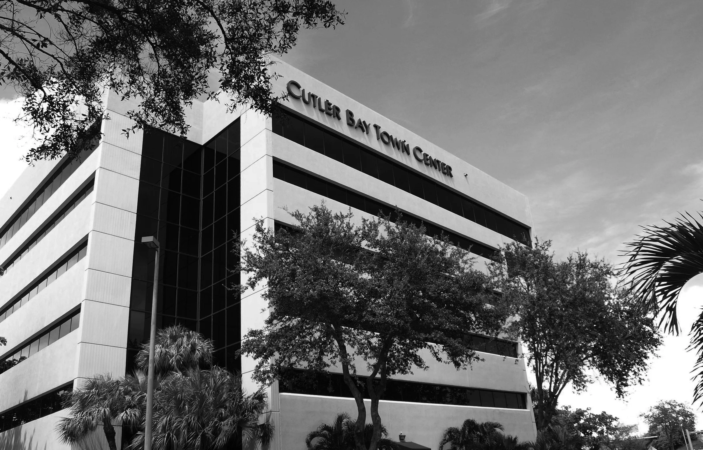 CB01 copy.jpg