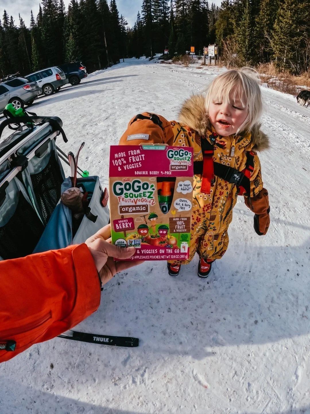A person holding a box of GoGo Squeez organic fruit and veggie pouches in front of a young girl in a yellow coat with a brown fur-lined hood, standing on a snowy trail with cars parked on the side and a forest in the background.
