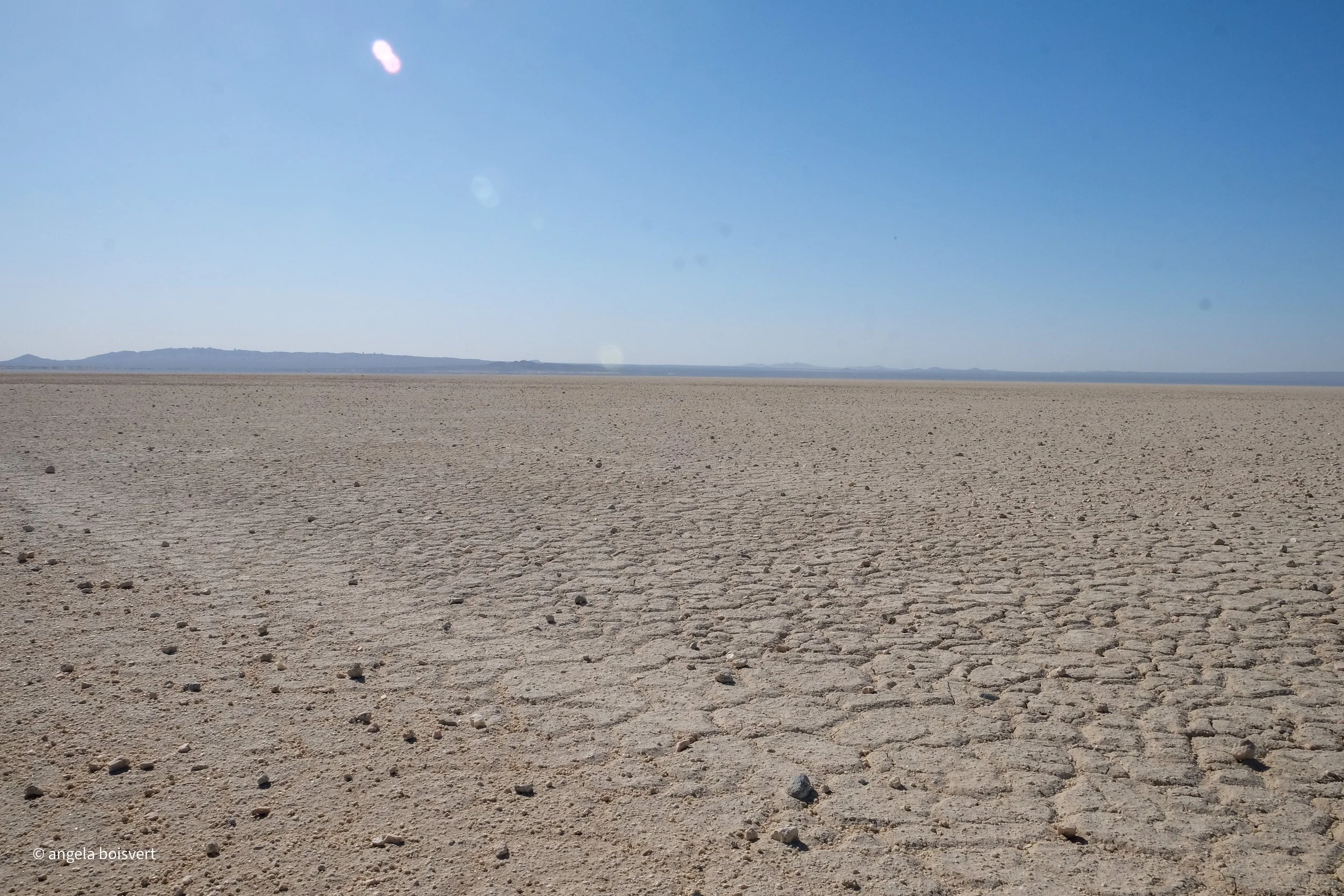 DSCF7930.jpg
