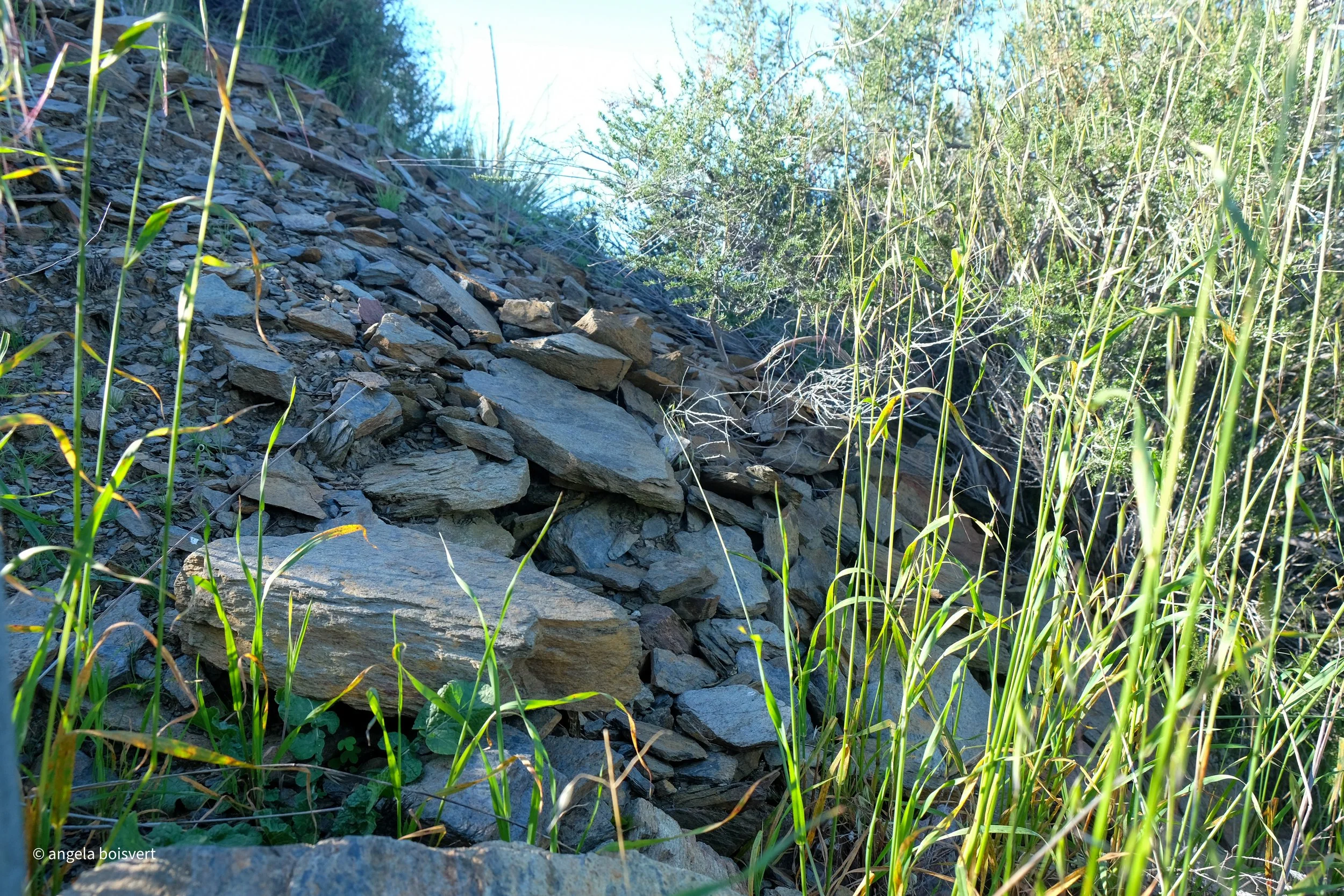 DSCF7539.jpg