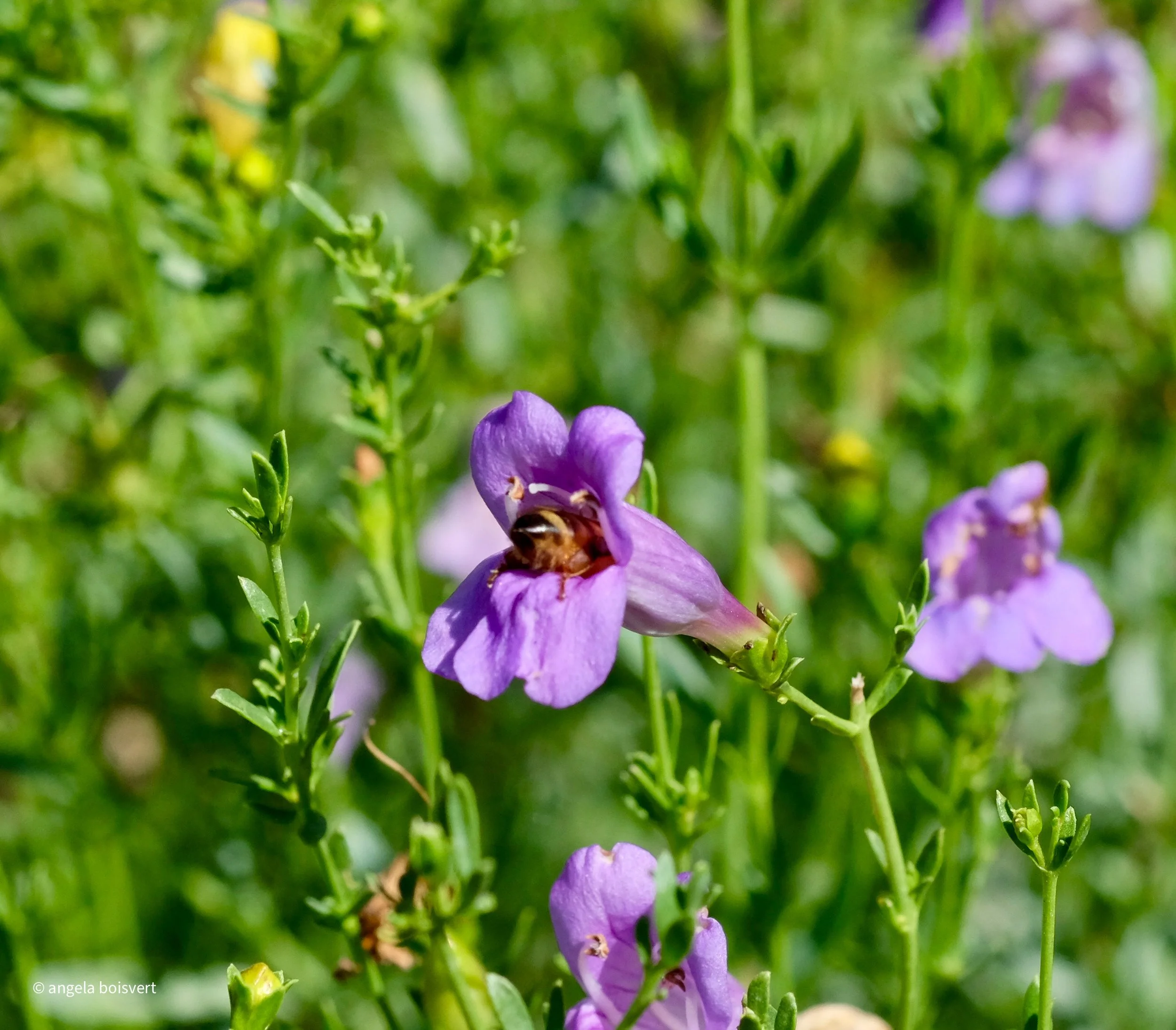 DSCF8870.jpg