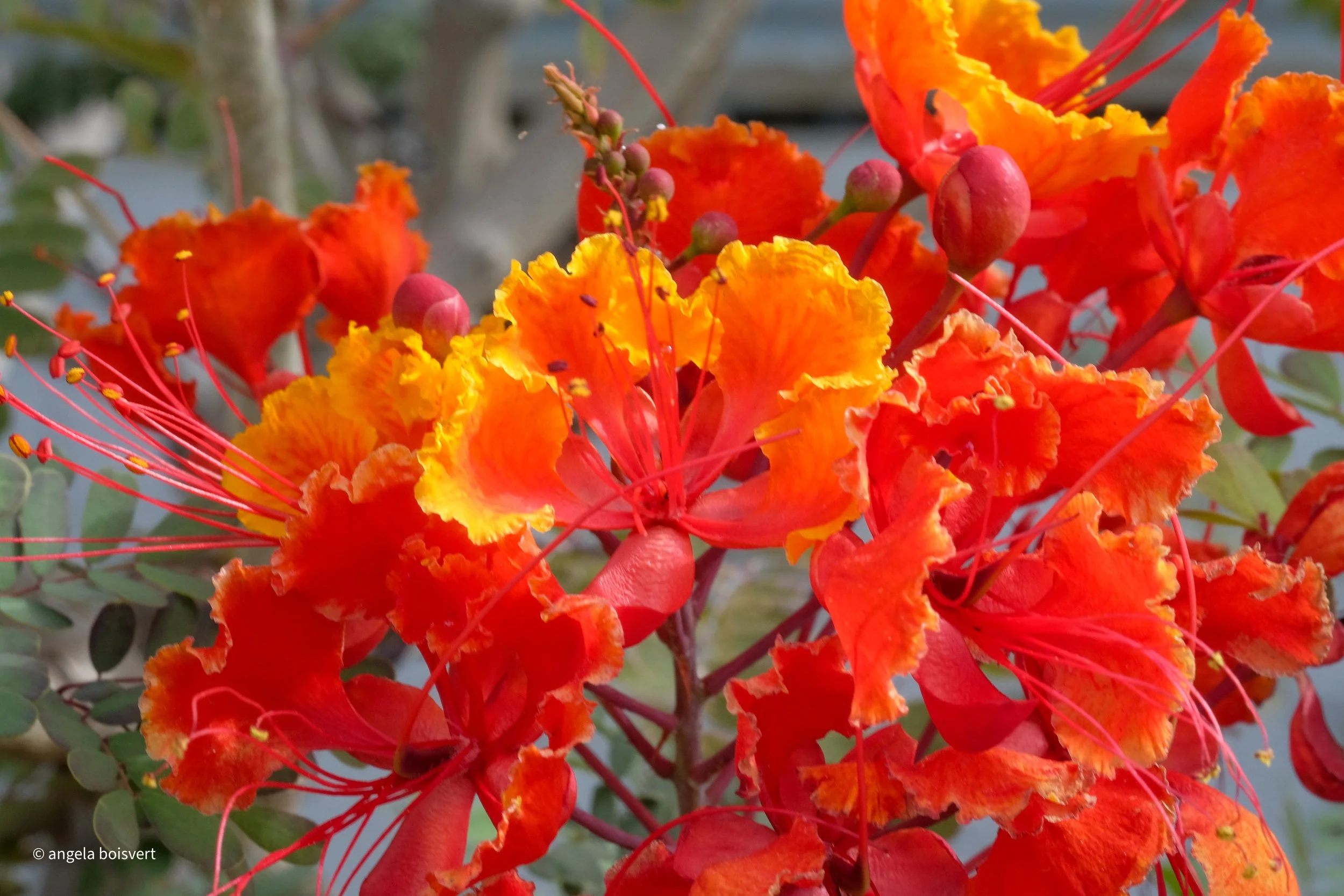 DSCF7894.jpg