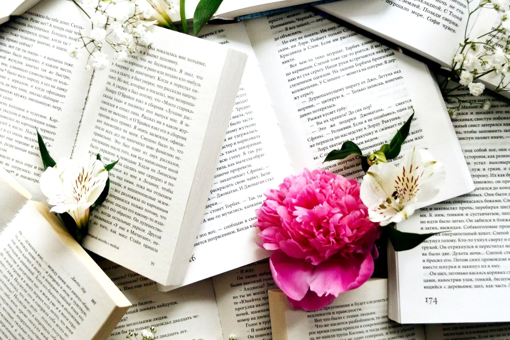 Open books with scattered pages, pink and white flowers on top, small white flowers scattered around.