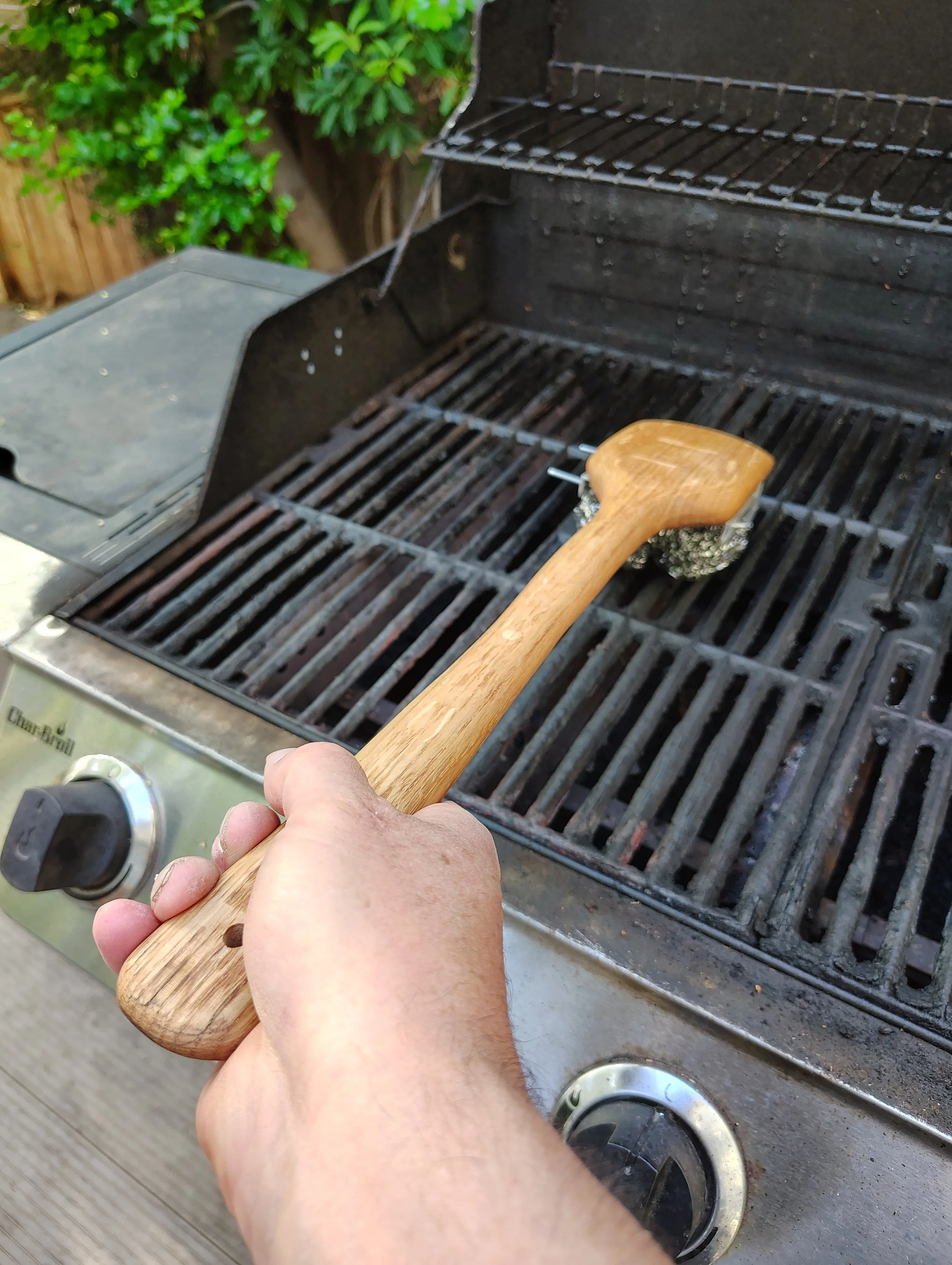scrubber.jpg